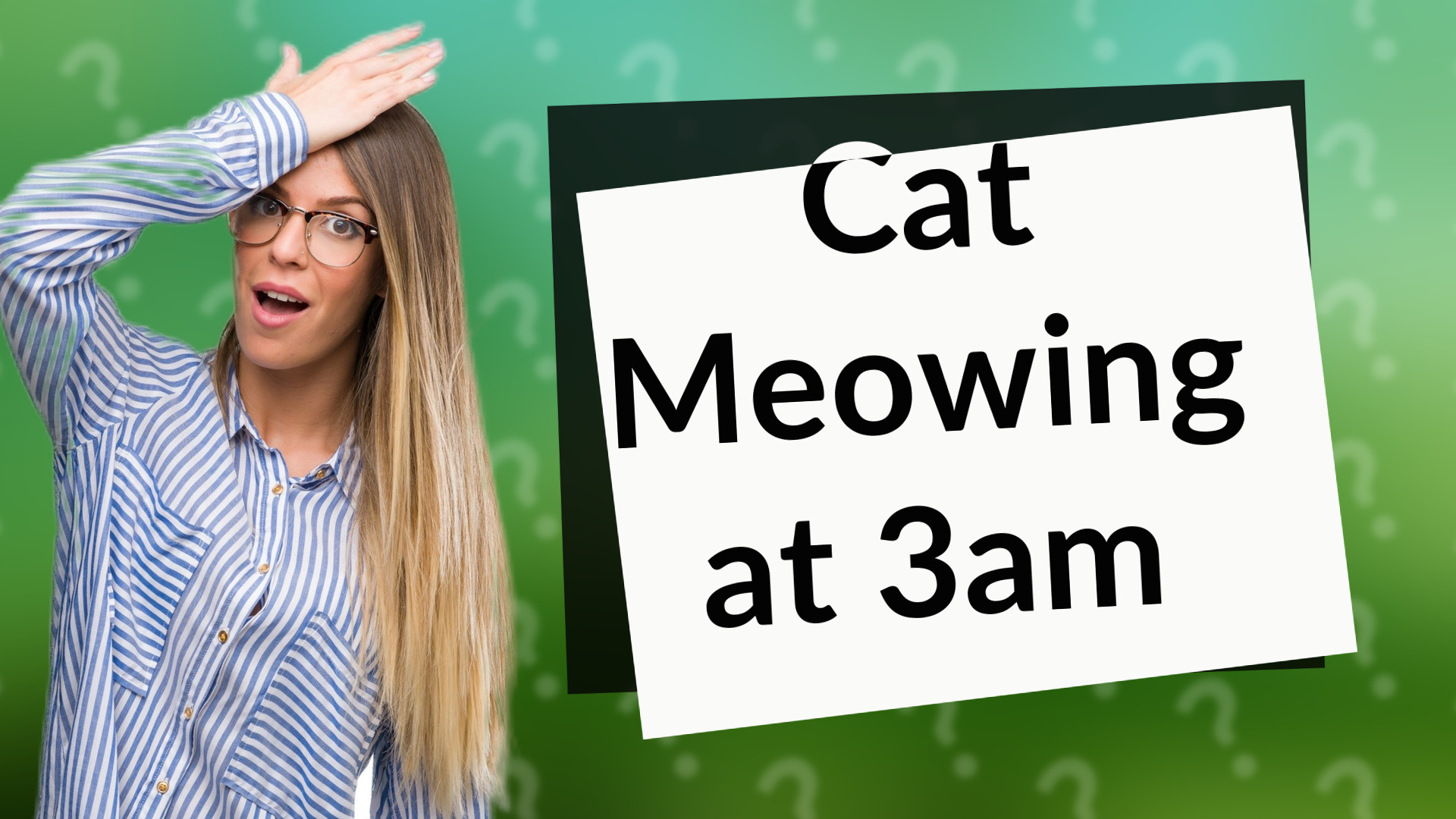 Cat Meowing at 3am