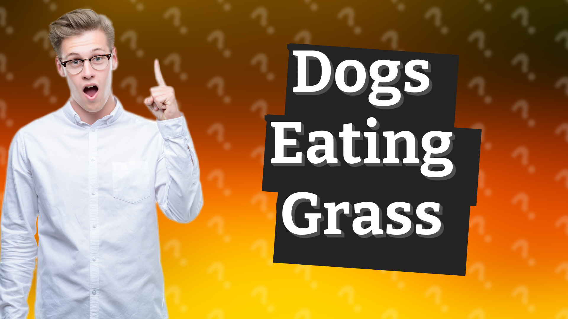 Dogs Eating Grass