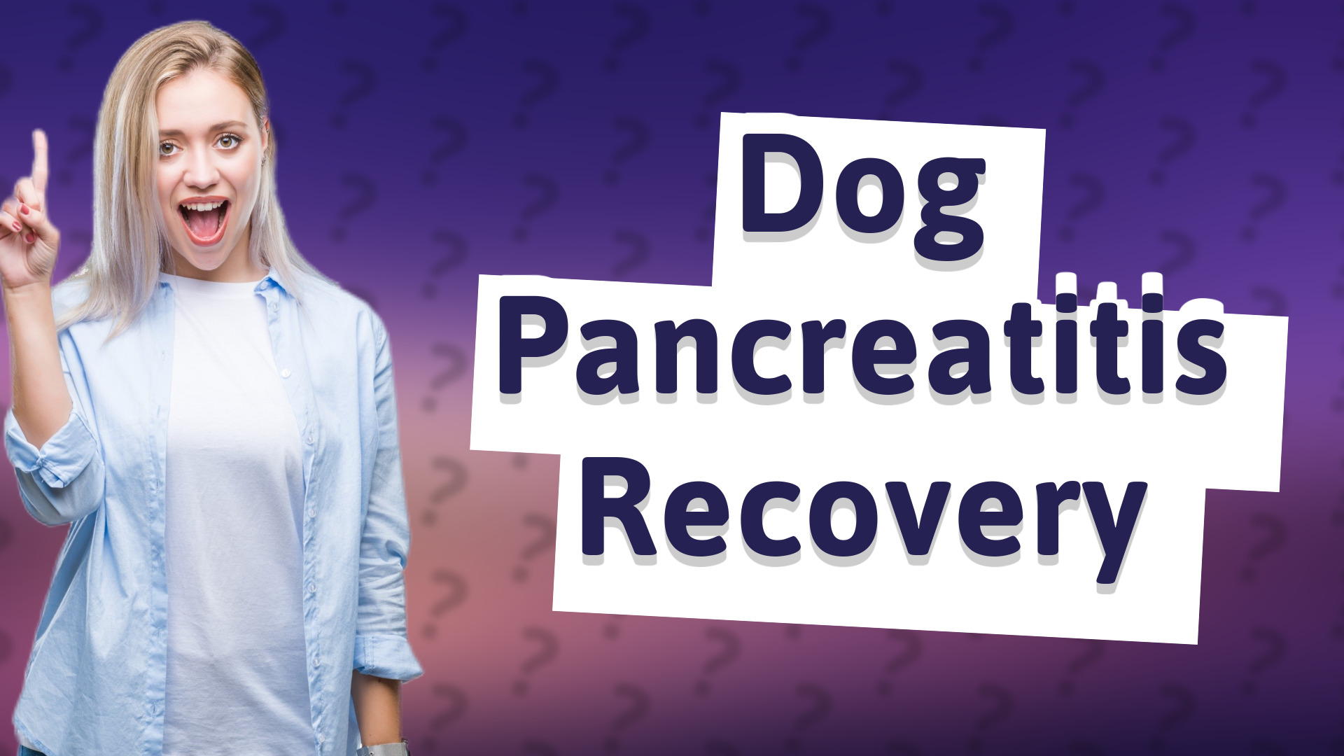 Dog Pancreatitis Recovery