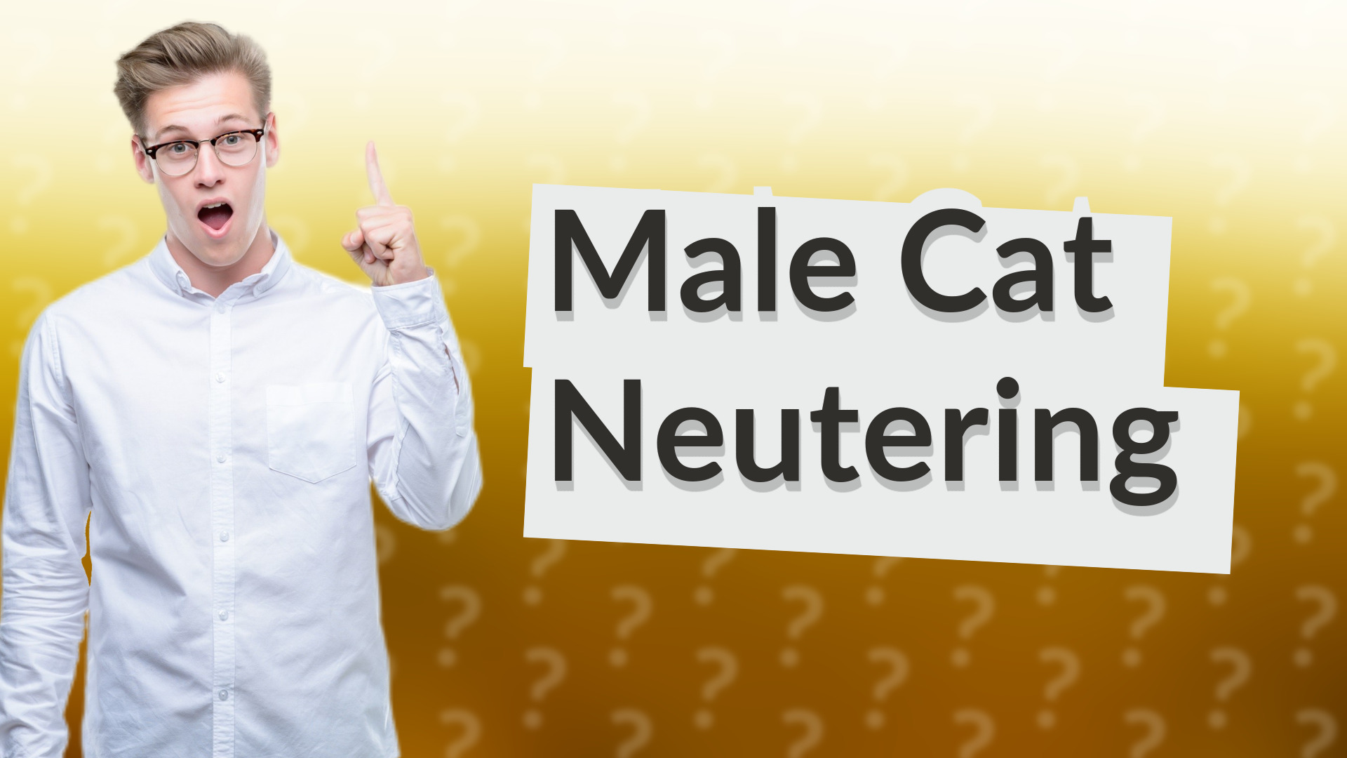 Male Cat Neutering