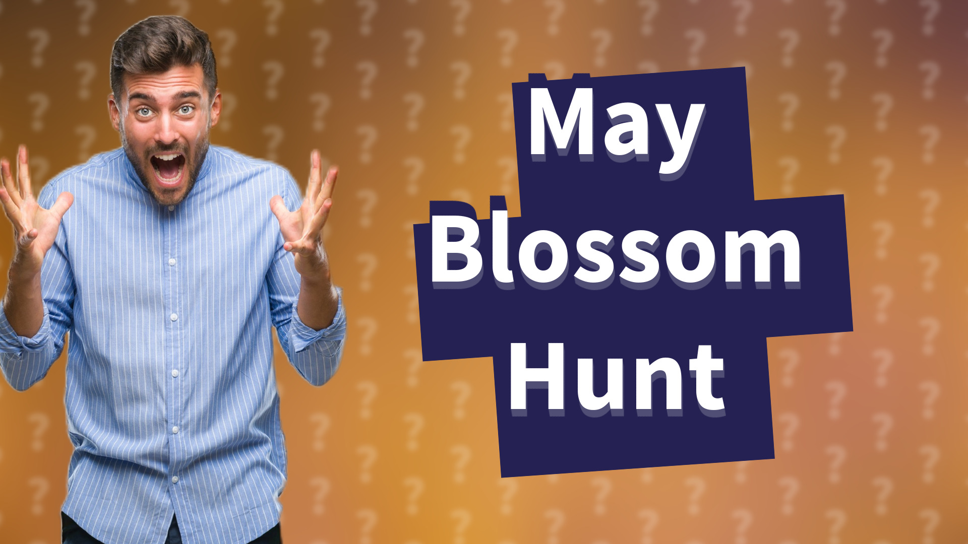 May Blossom Hunt