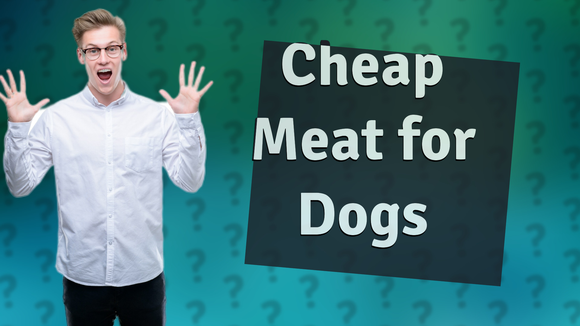 Cheap Meat for Dogs