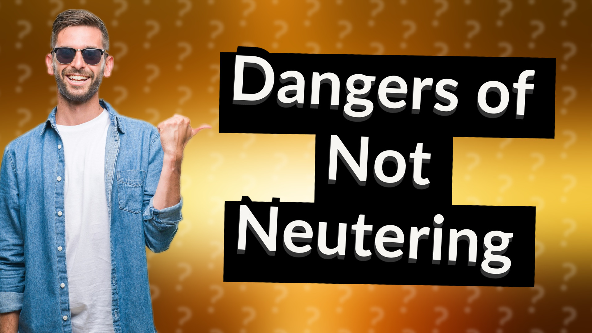 Dangers of Not Neutering