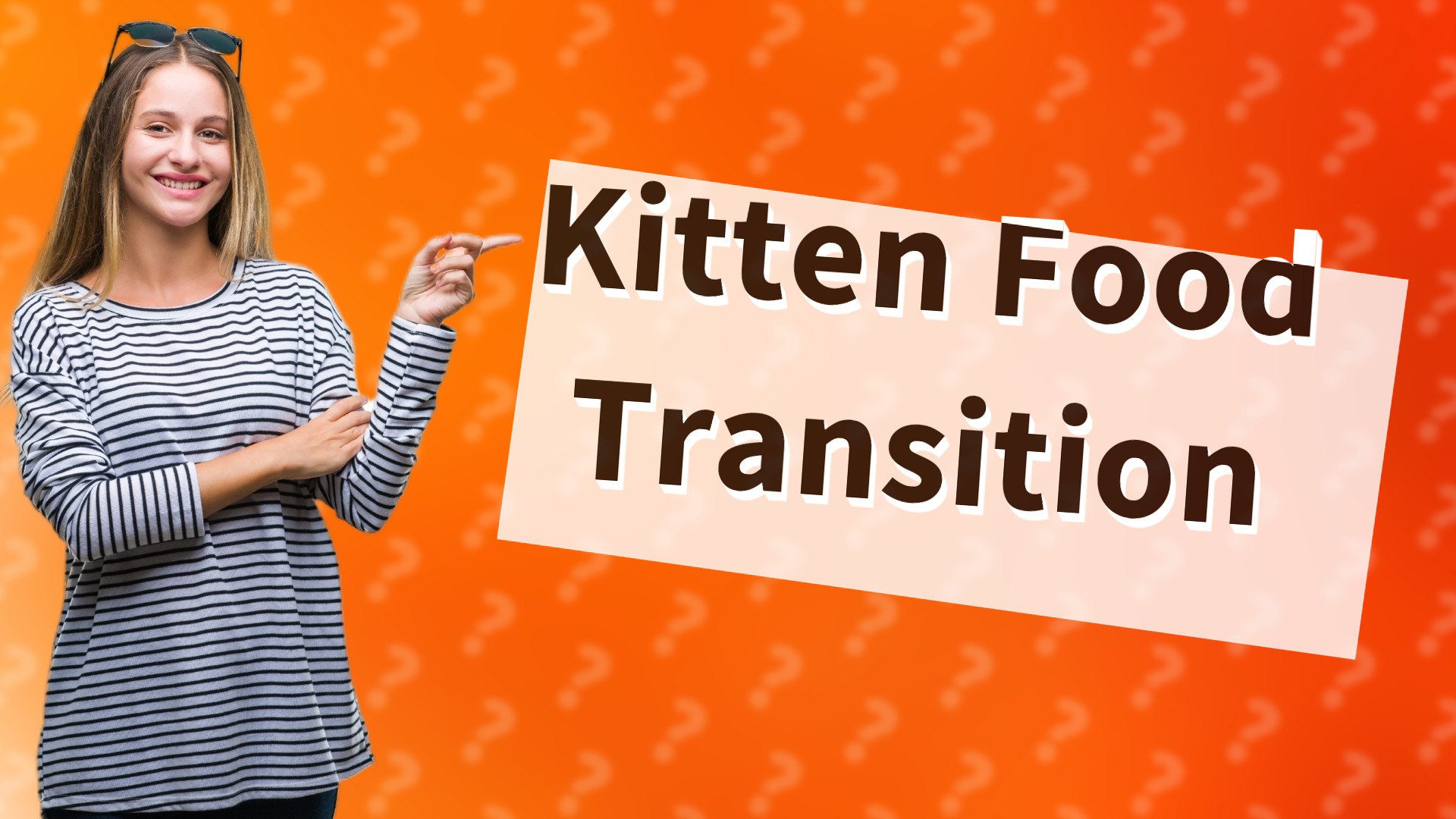 Kitten Food Transition