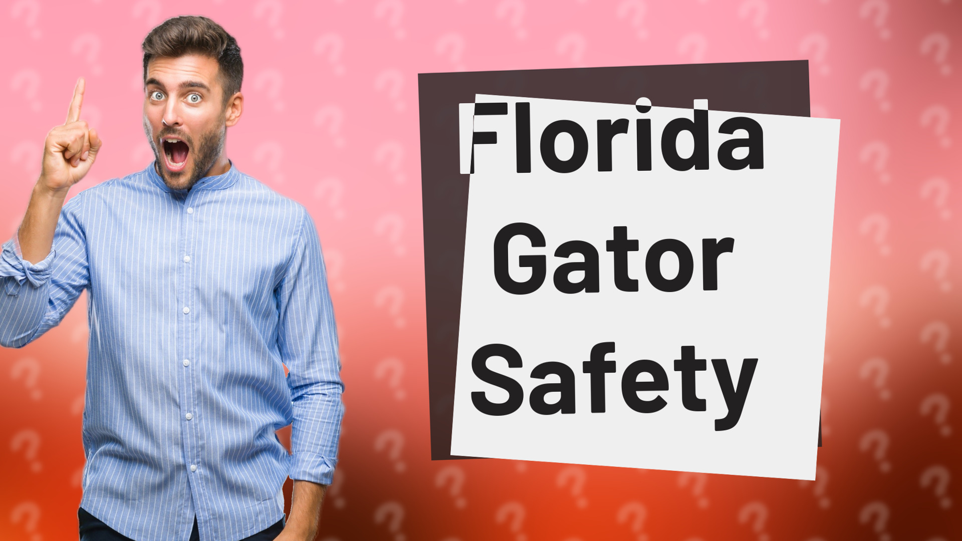 Florida Gator Safety