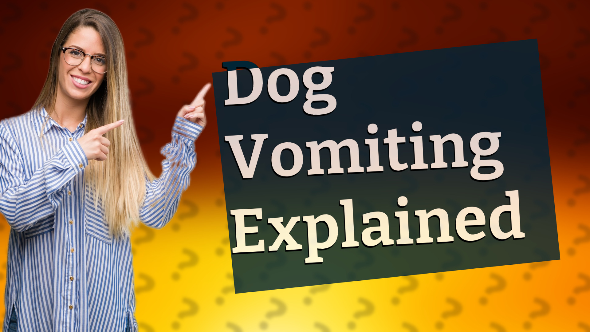 Dog Vomiting Explained