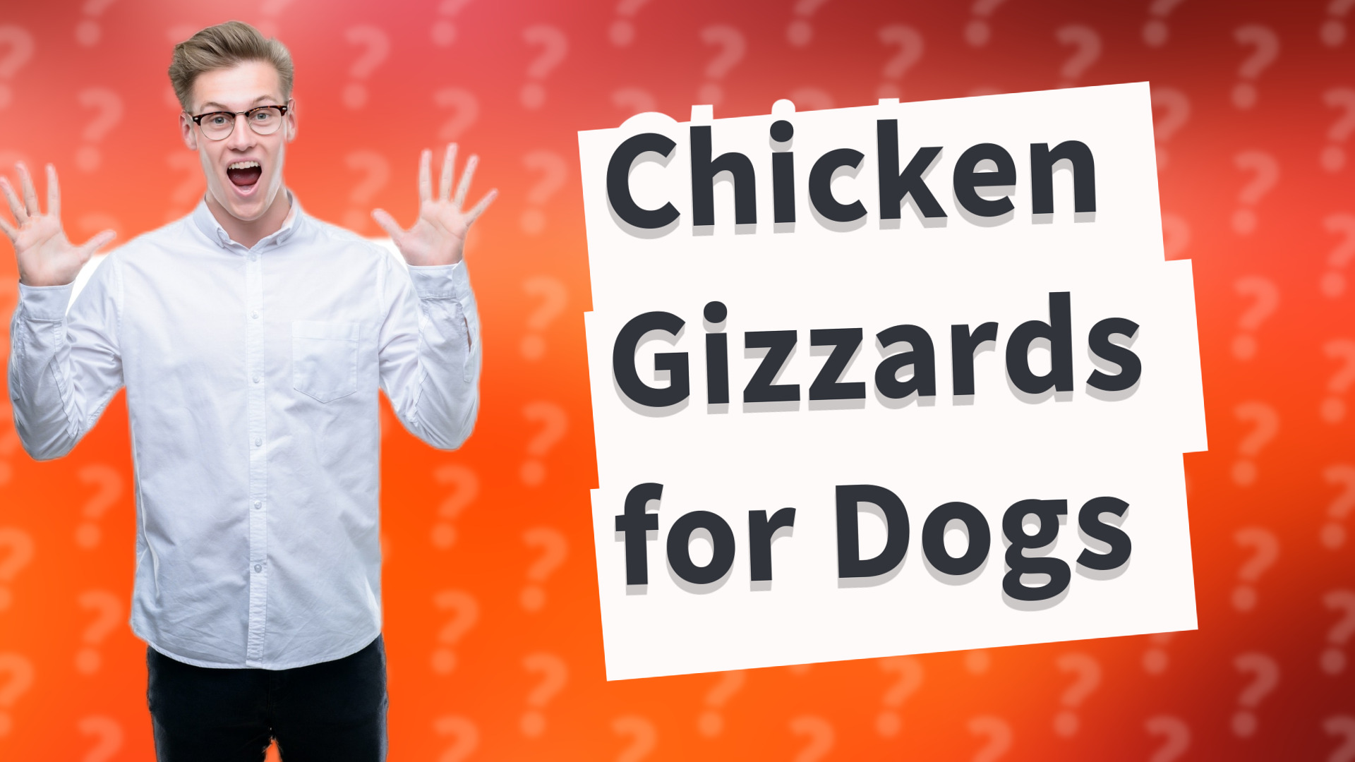 Chicken Gizzards for Dogs