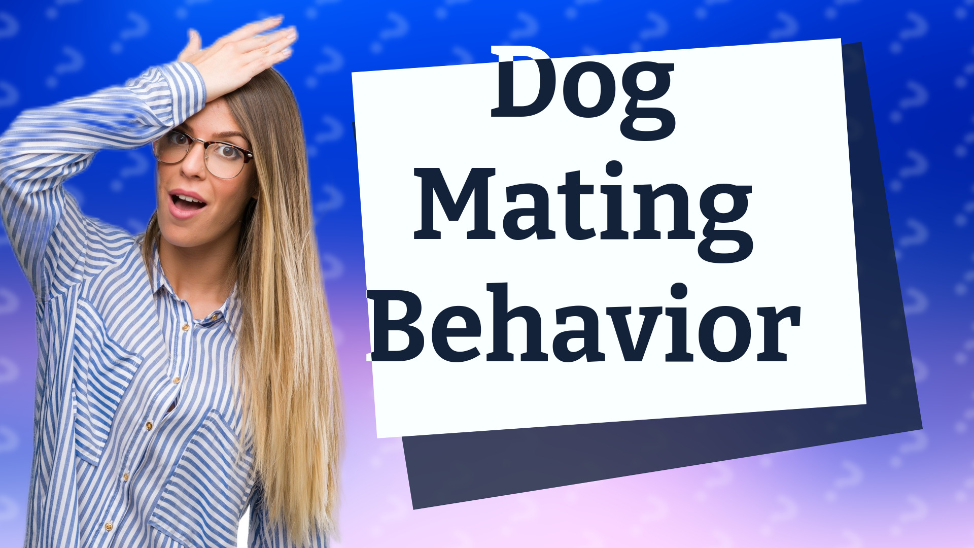 Dog Mating Behavior