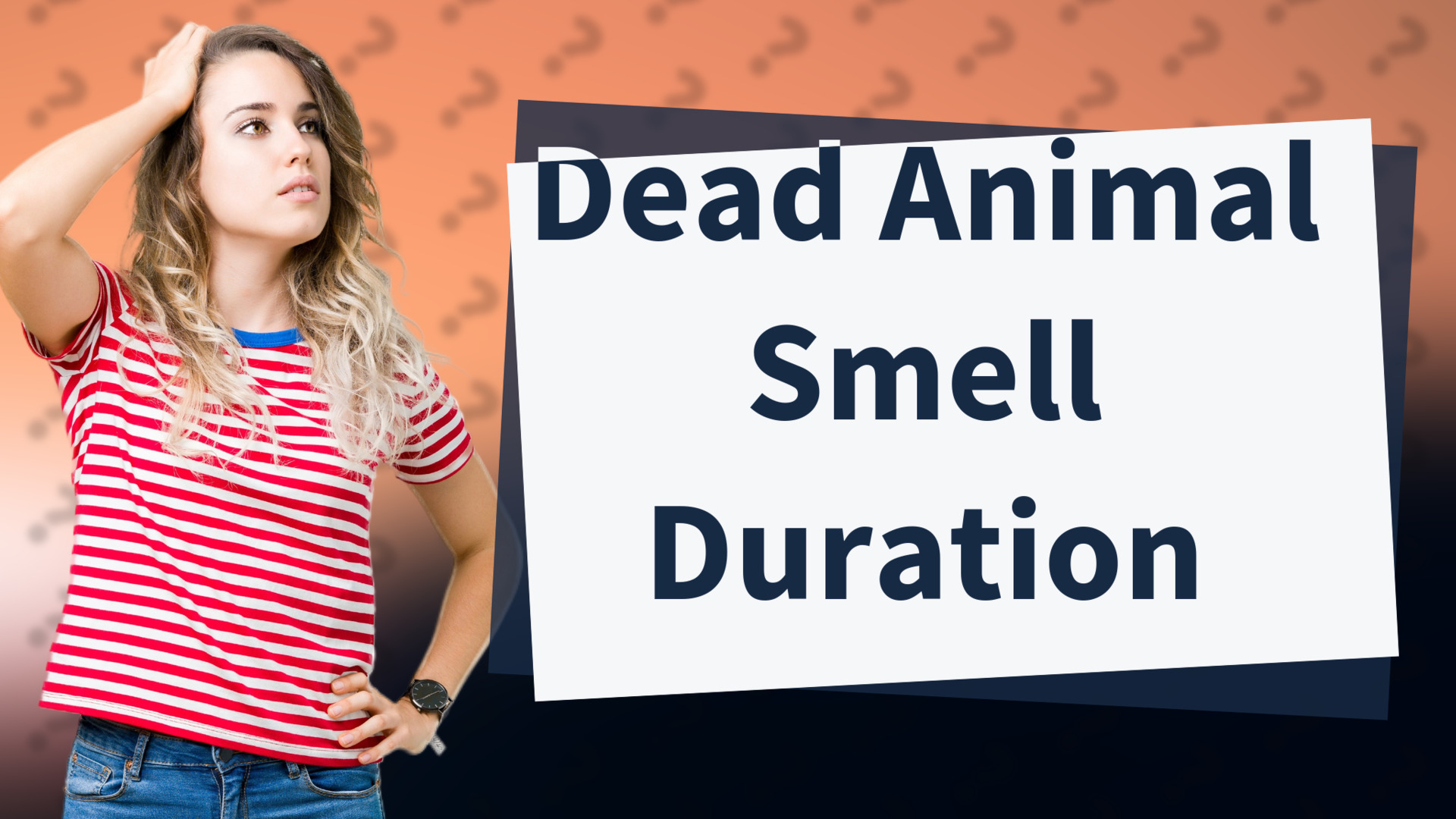 Dead Animal Smell Duration