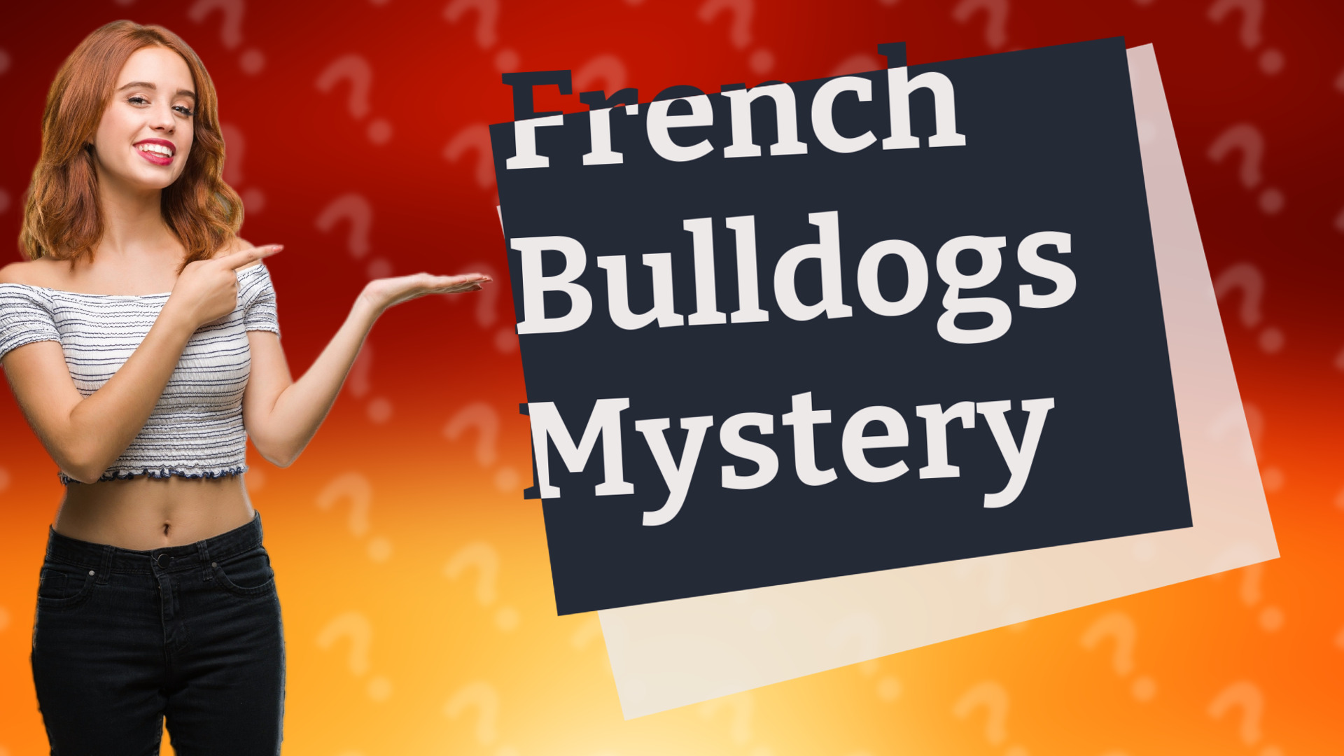 French Bulldogs Mystery