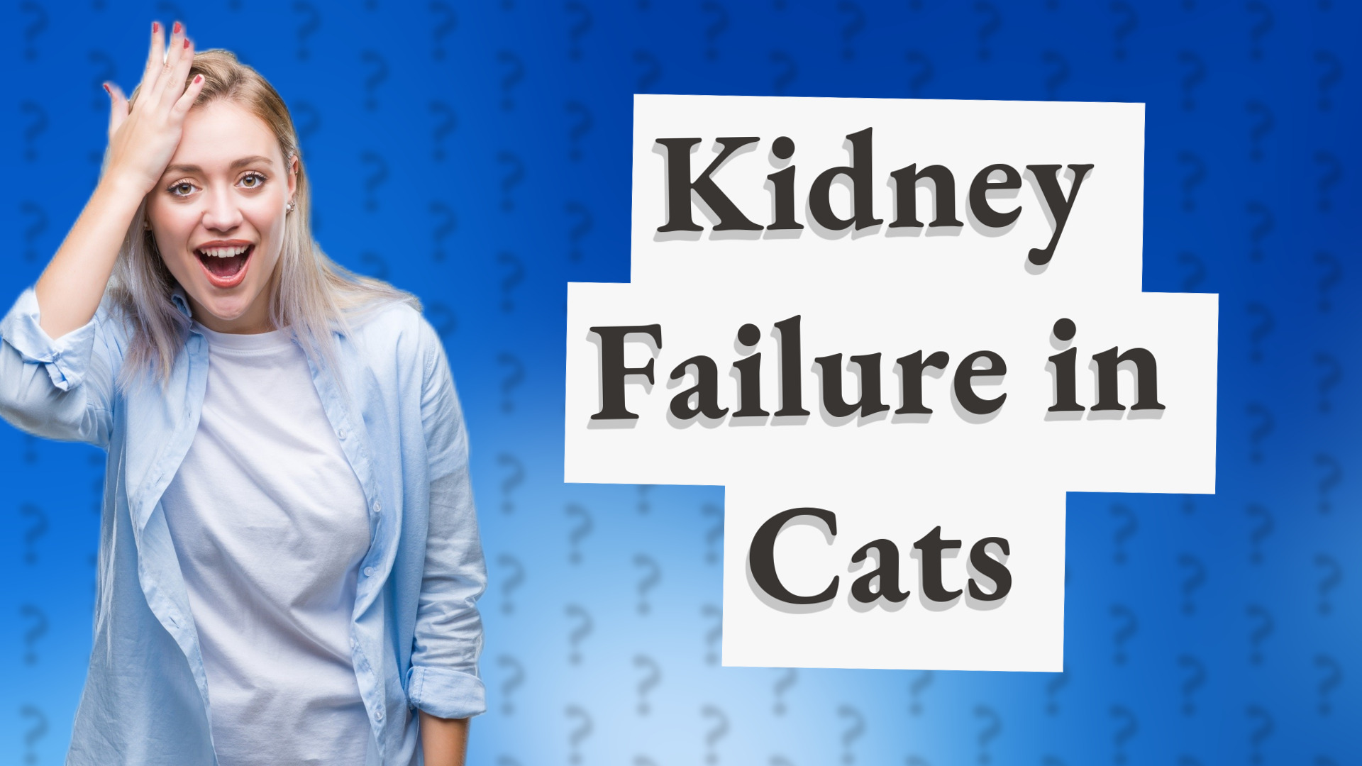 Kidney Failure in Cats