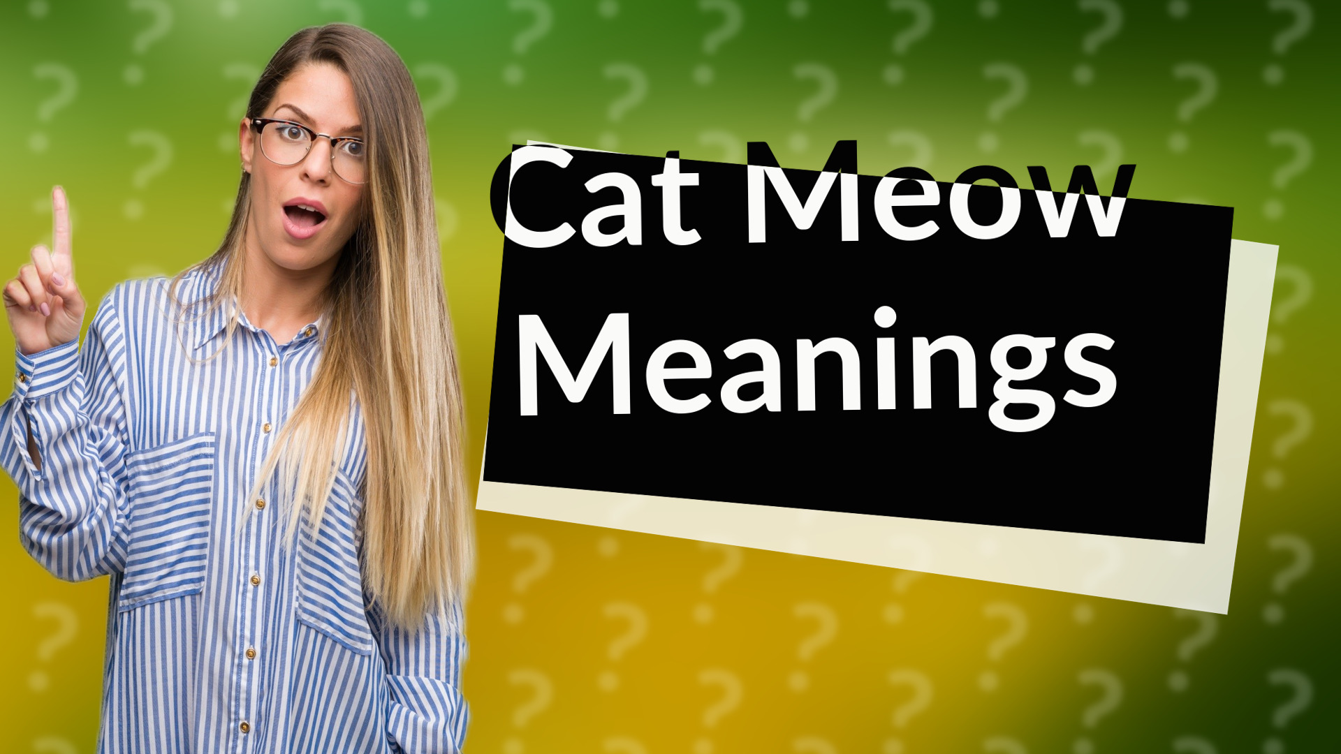 Cat Meow Meanings