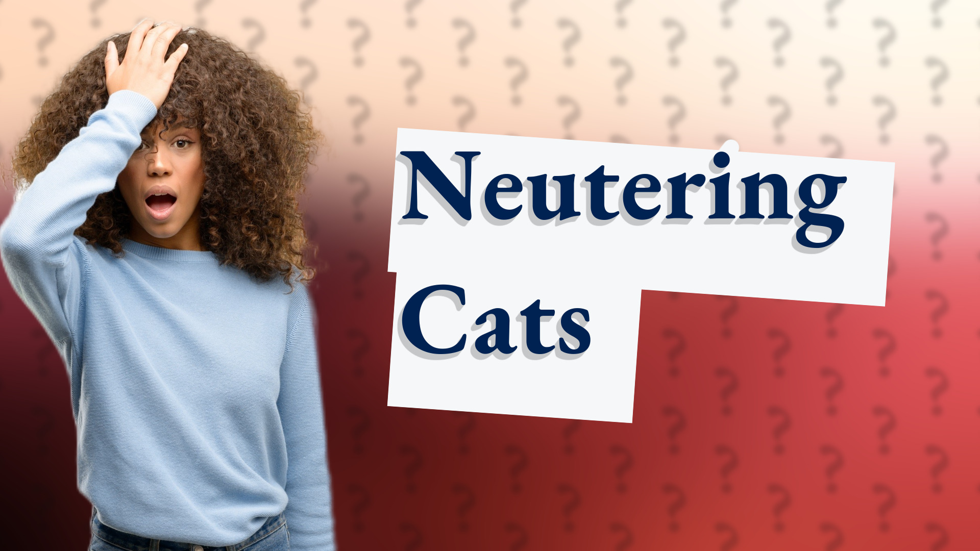 Neutering Cats
