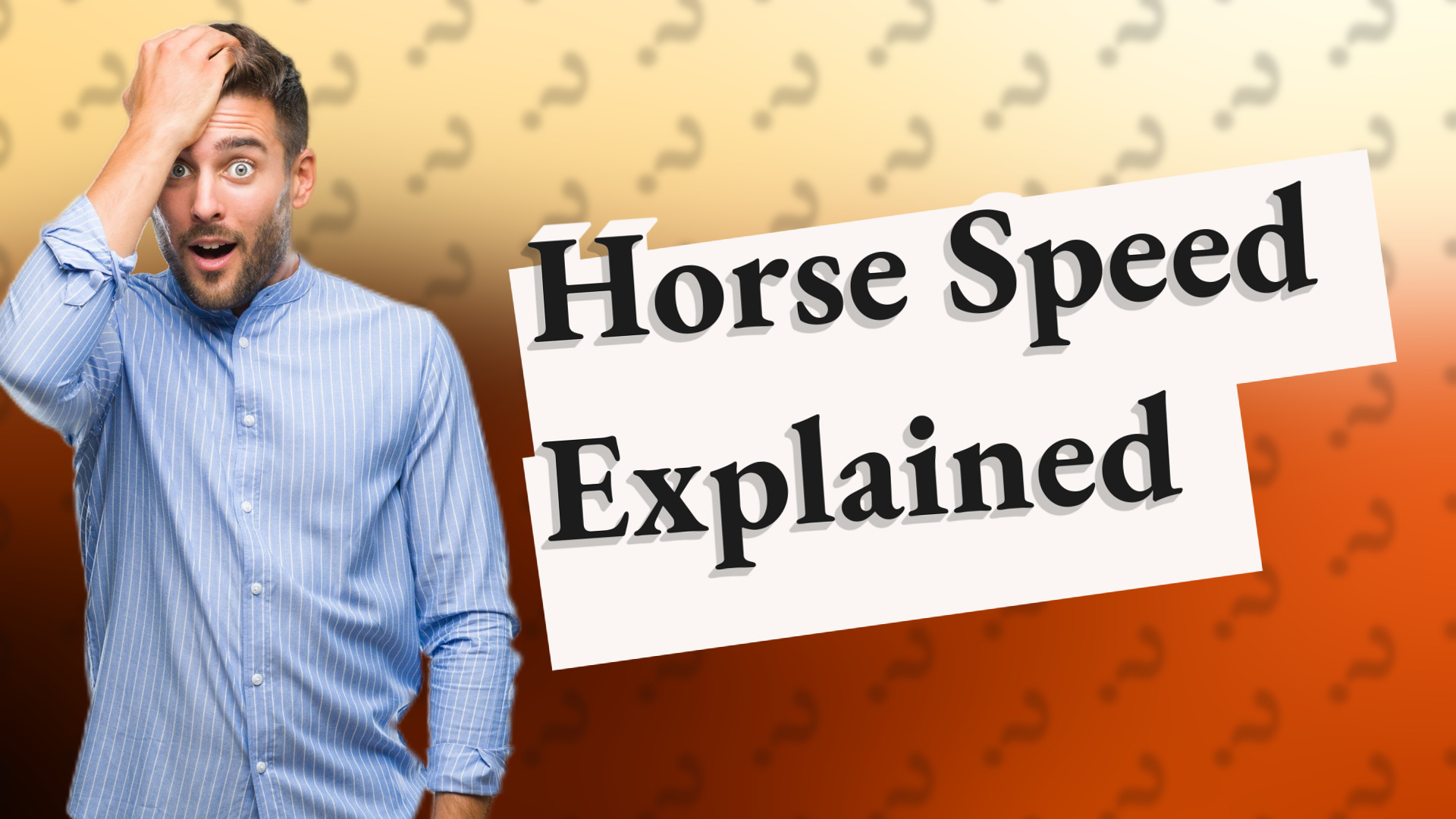 Horse Speed Explained