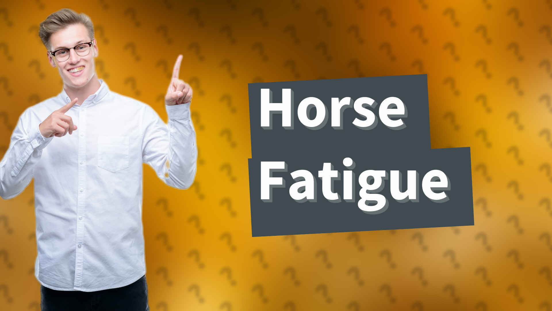 Horse Fatigue