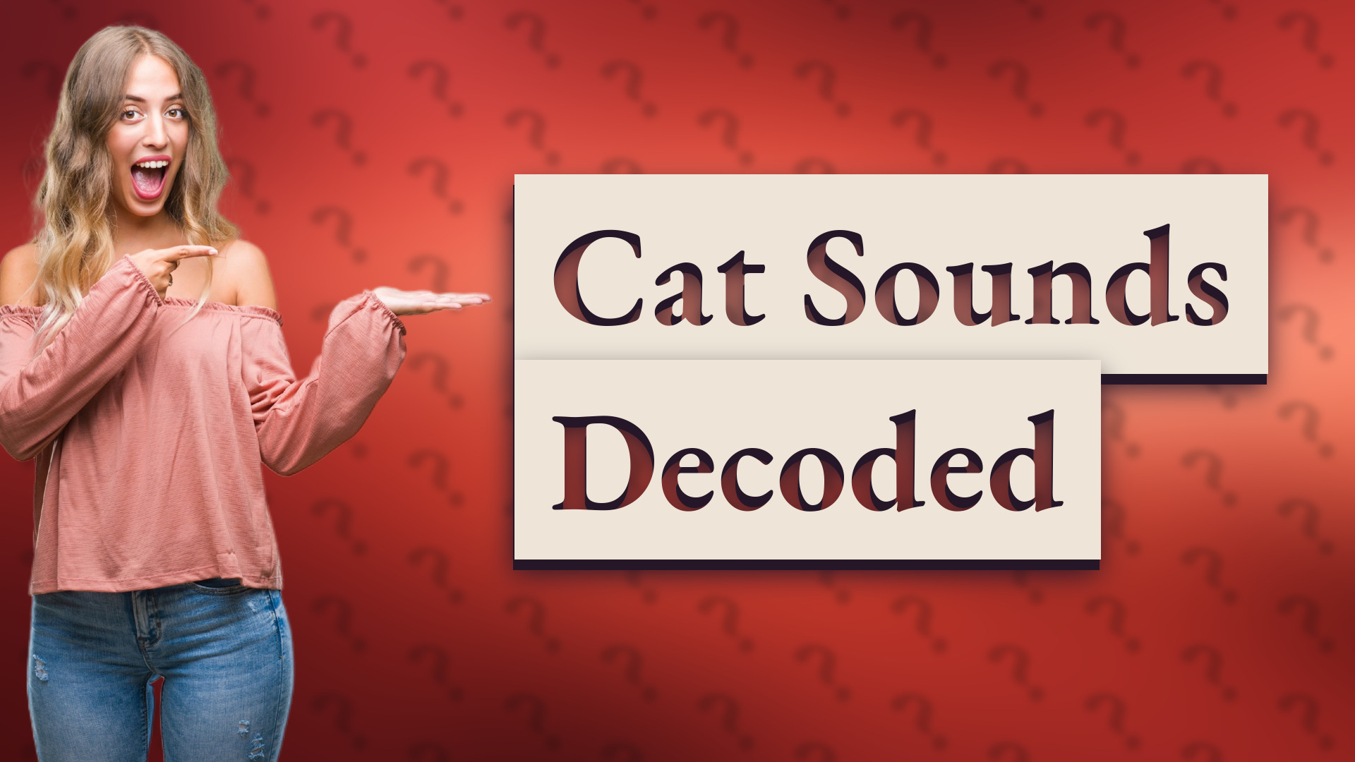 Cat Sounds Decoded