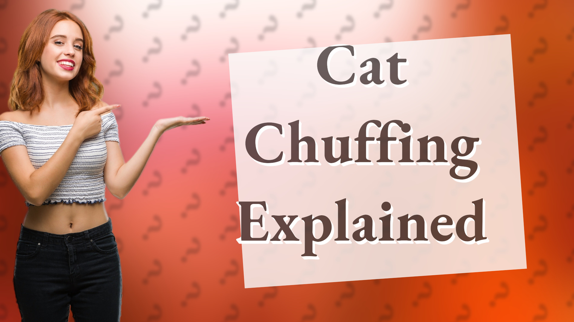 Cat Chuffing Explained