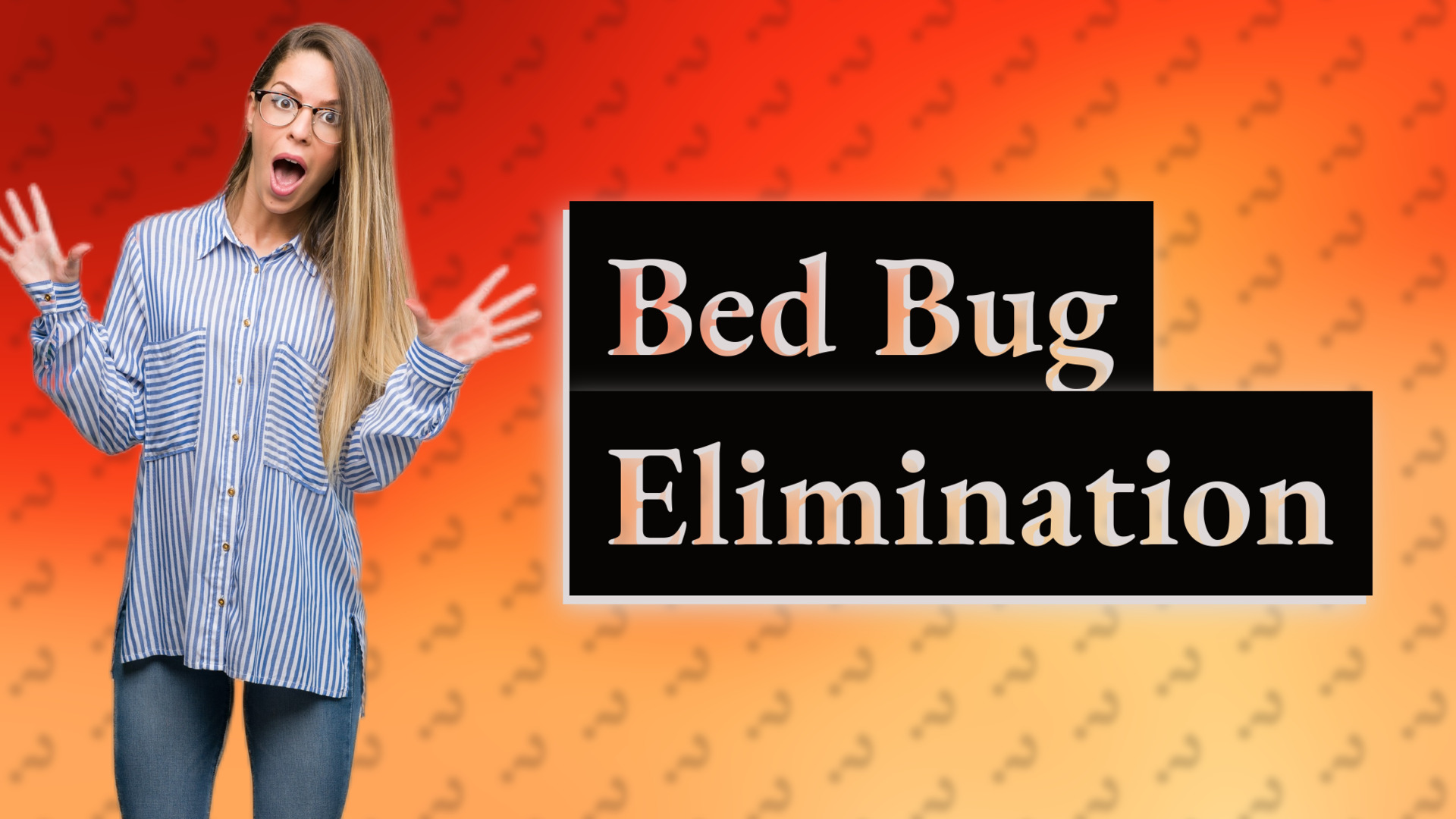 Bed Bug Elimination