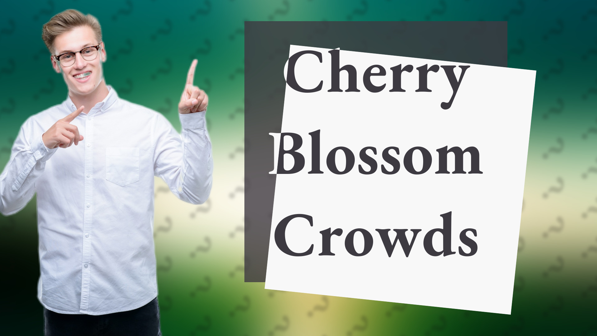 Cherry Blossom Crowds