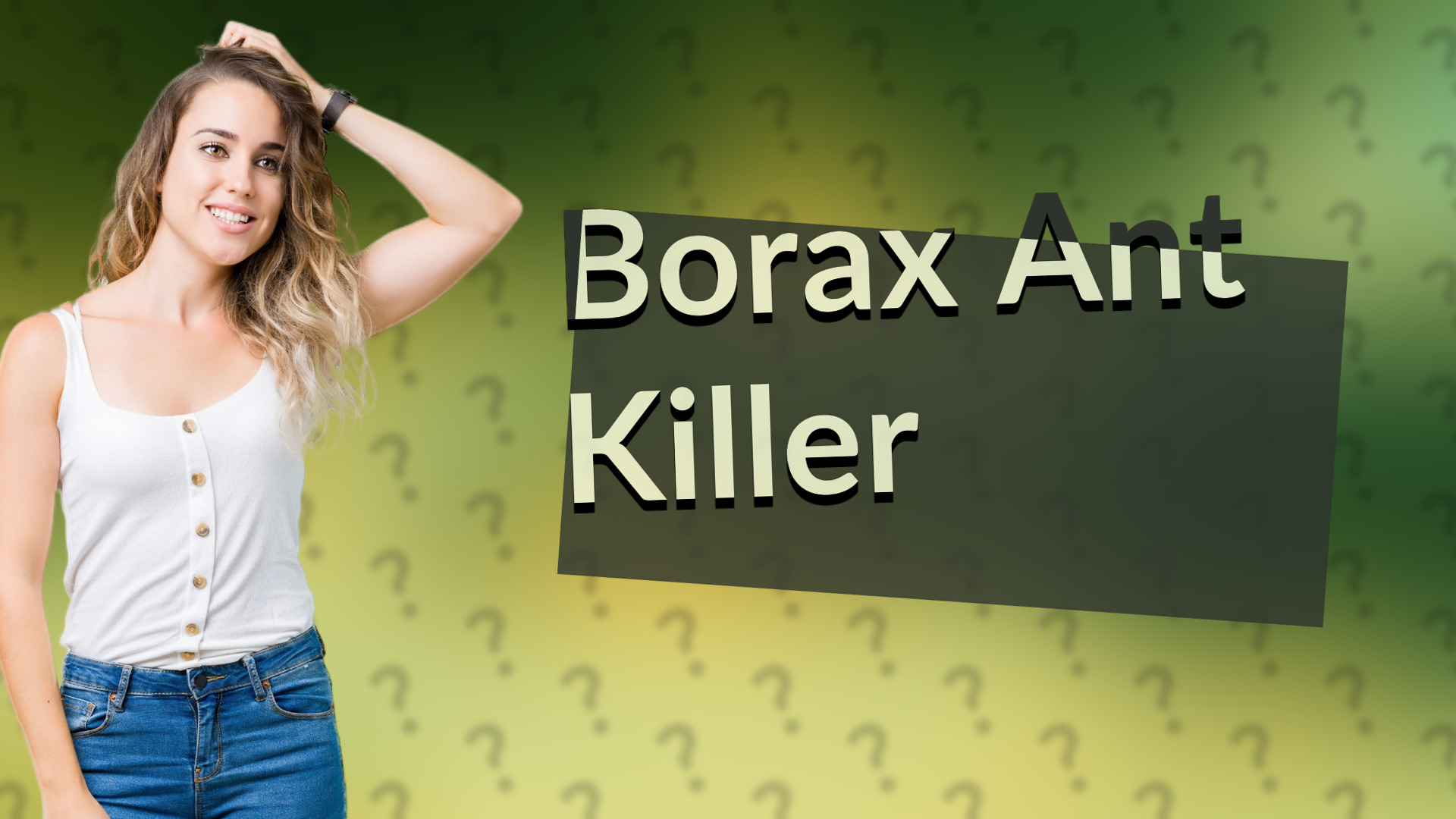 Borax Ant Killer