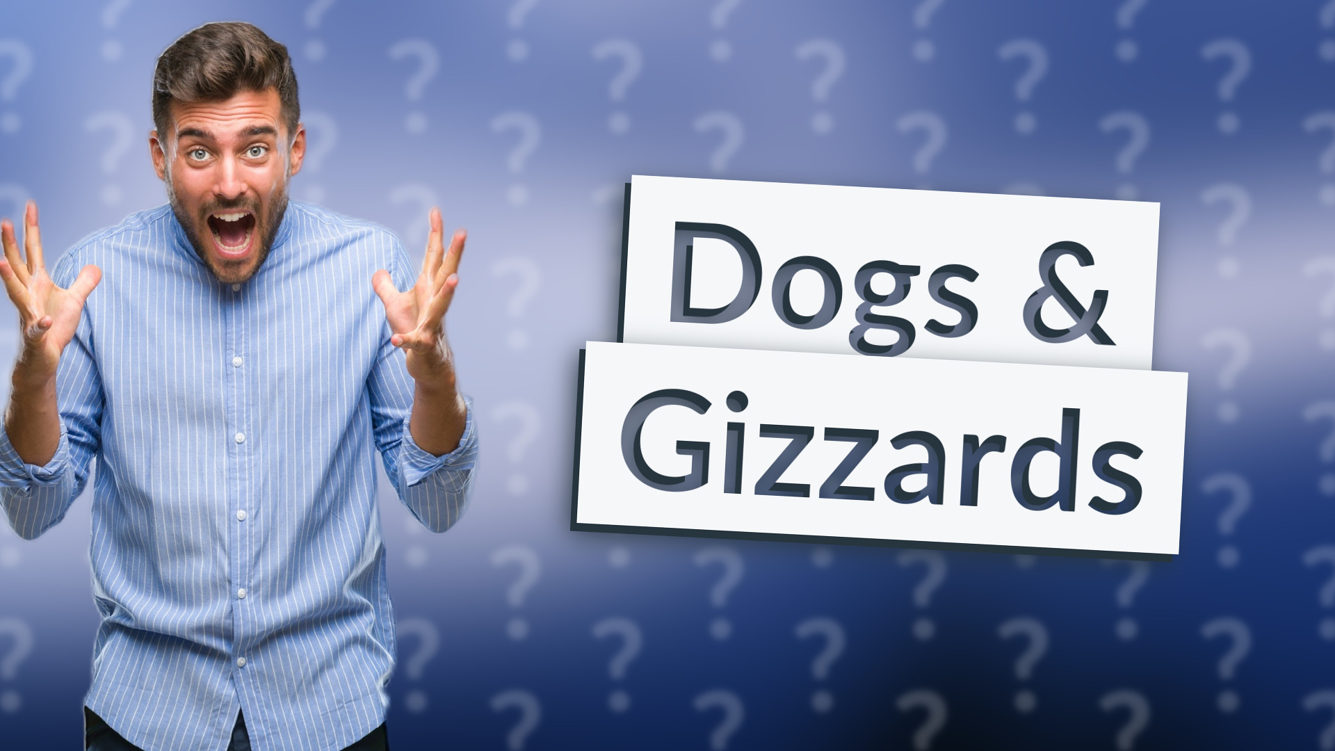 Dogs & Gizzards
