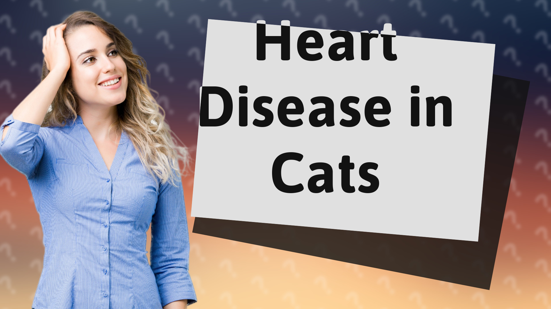 Heart Disease in Cats