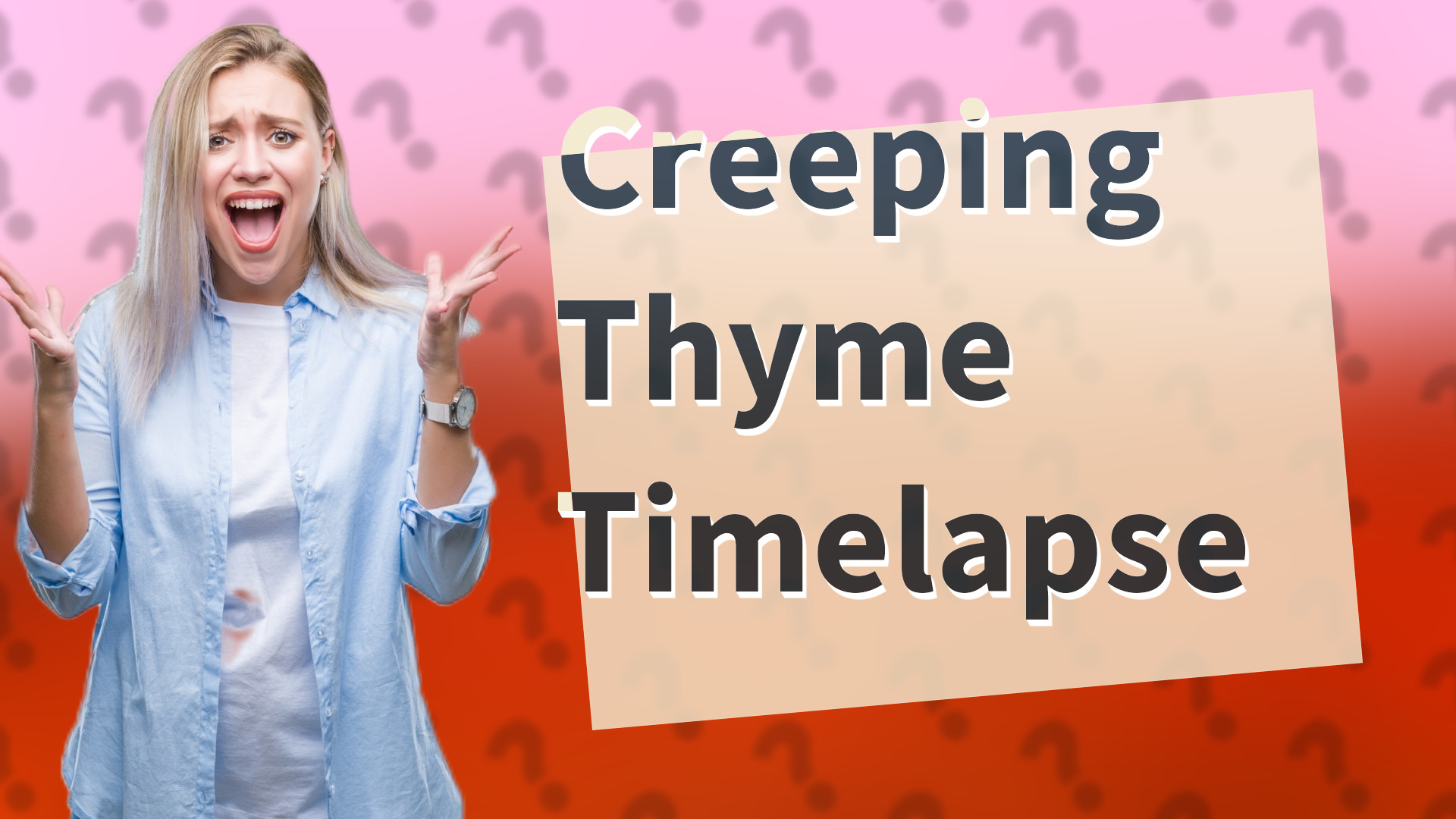 Creeping Thyme Timelapse