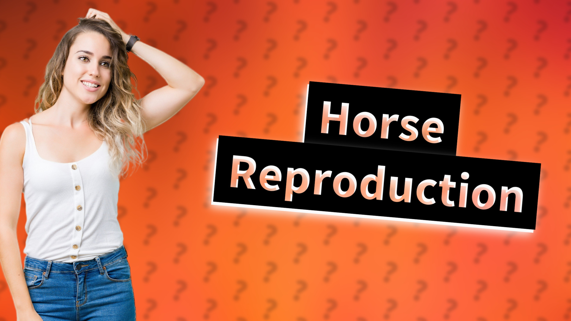 Horse Reproduction