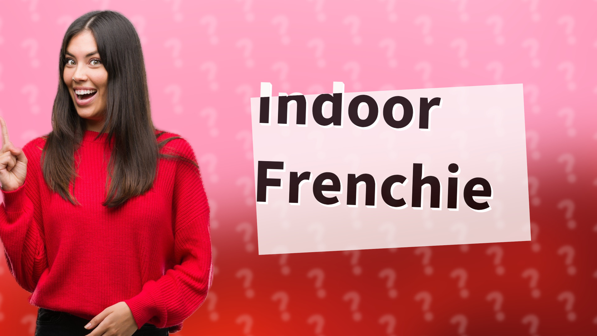 Indoor Frenchie