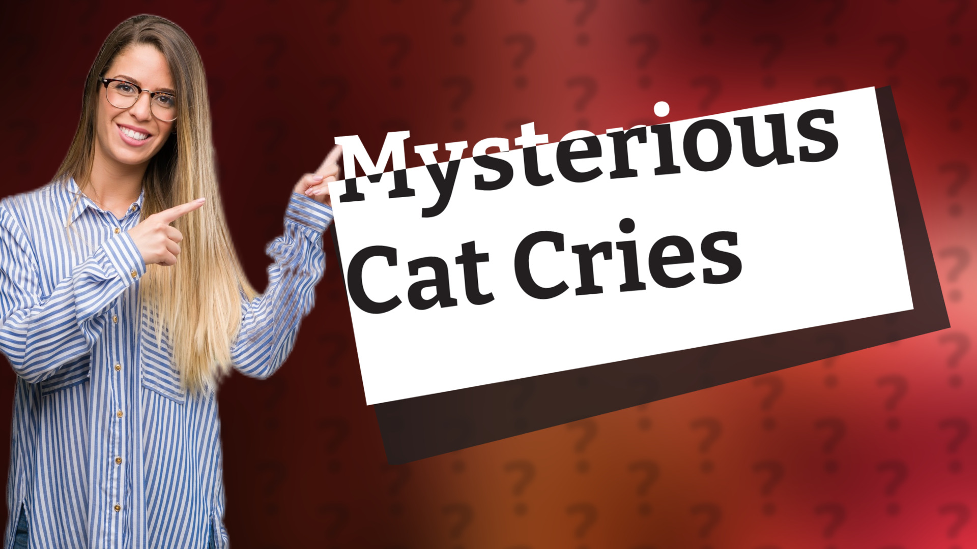 Mysterious Cat Cries