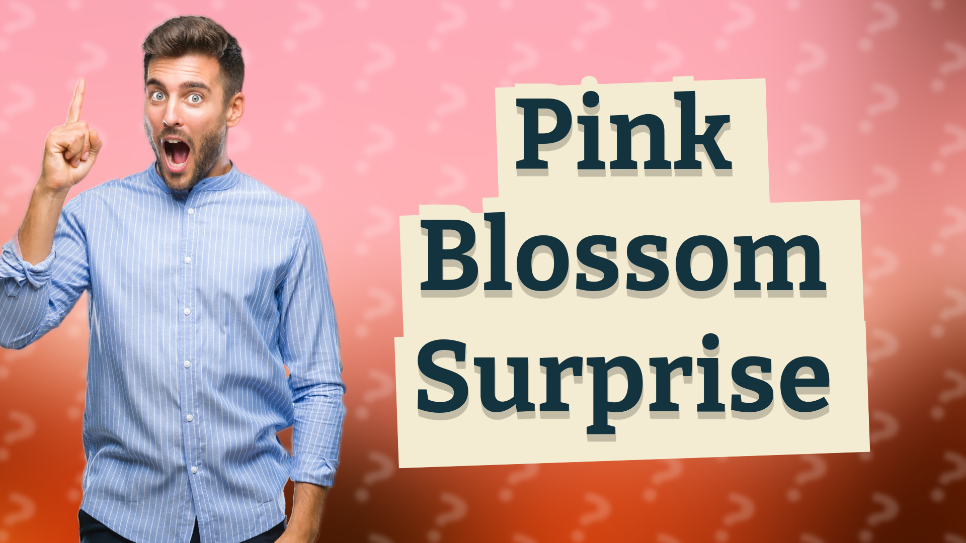 Pink Blossom Surprise