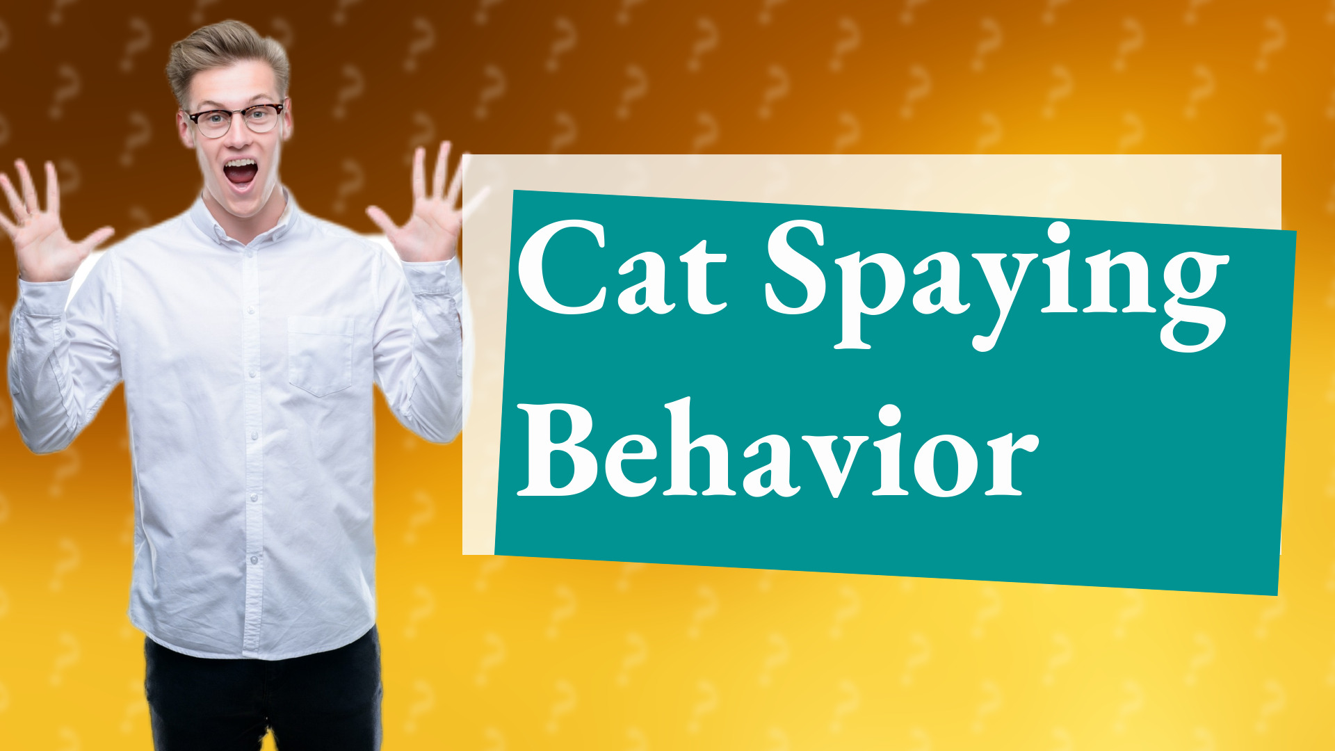 Cat Spaying Behavior