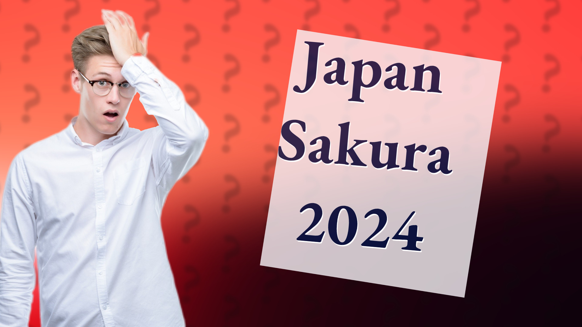 Japan Sakura 2024
