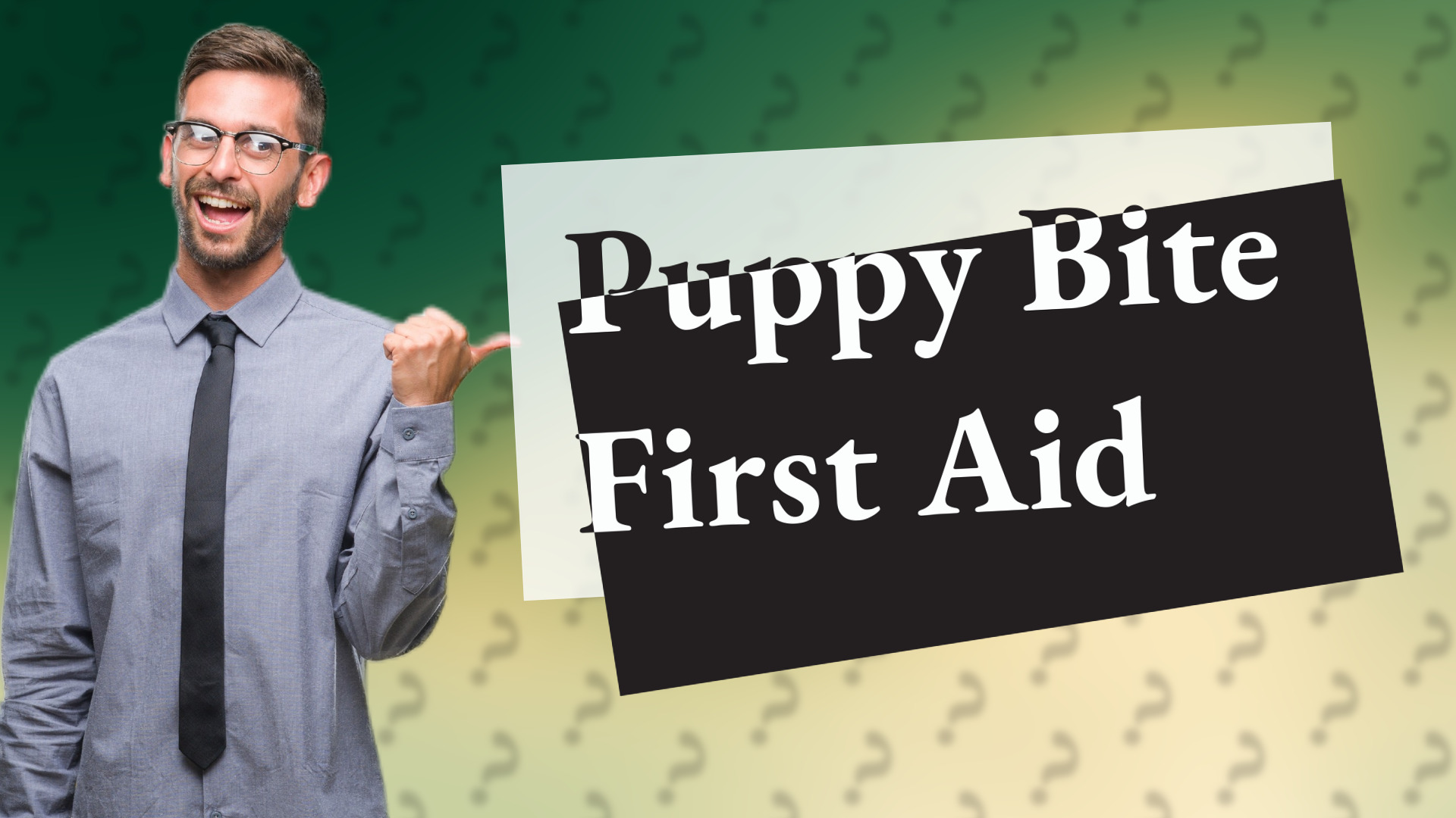 Puppy Bite First Aid