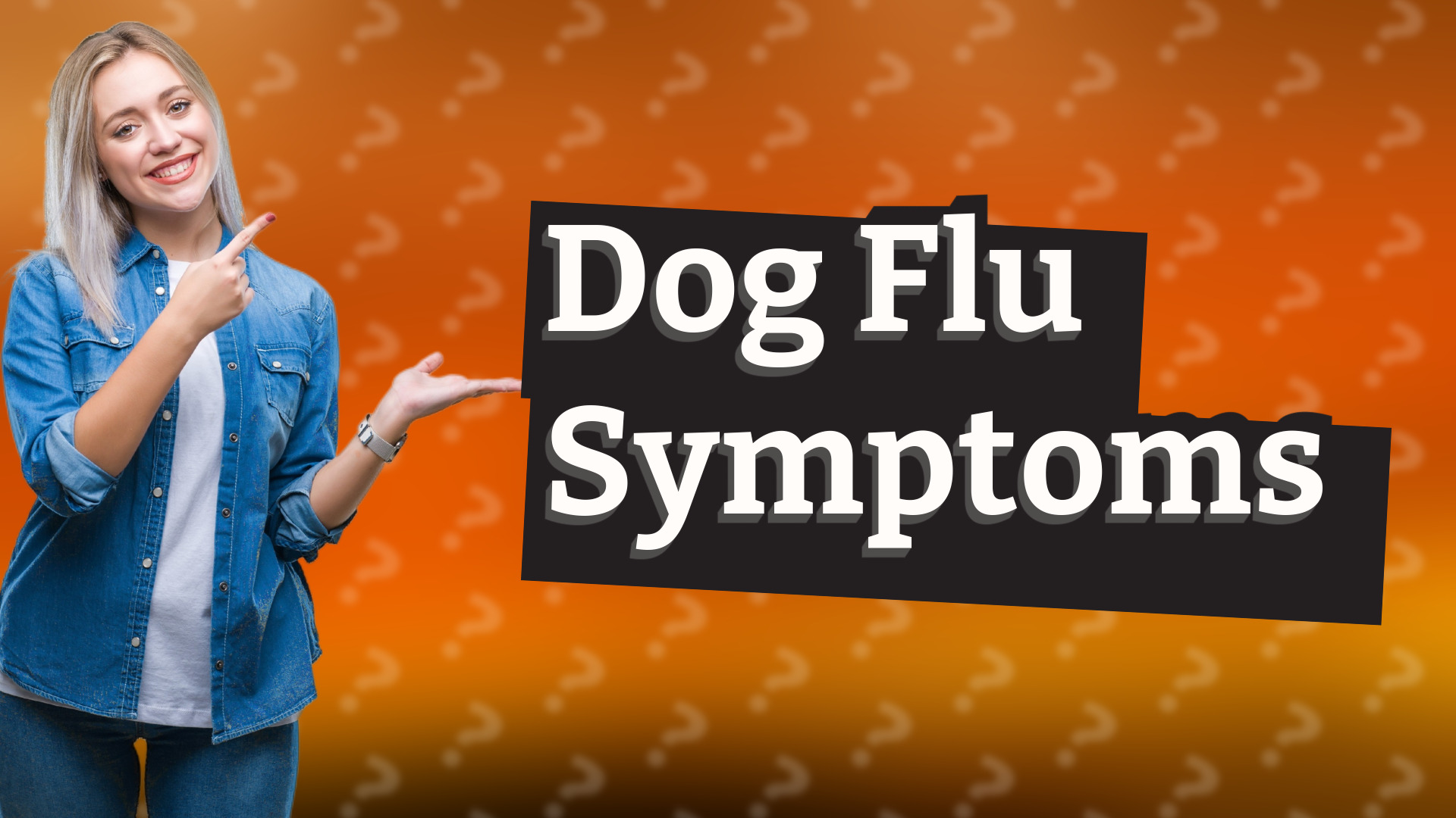 Dog Flu Symptoms