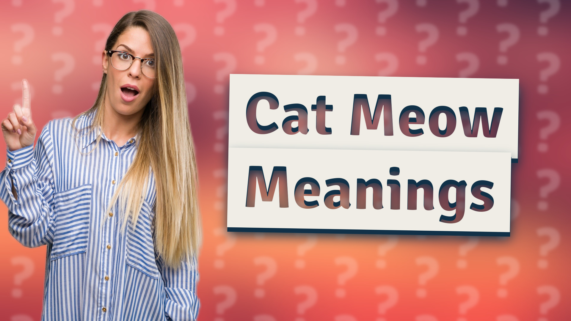 Cat Meow Meanings