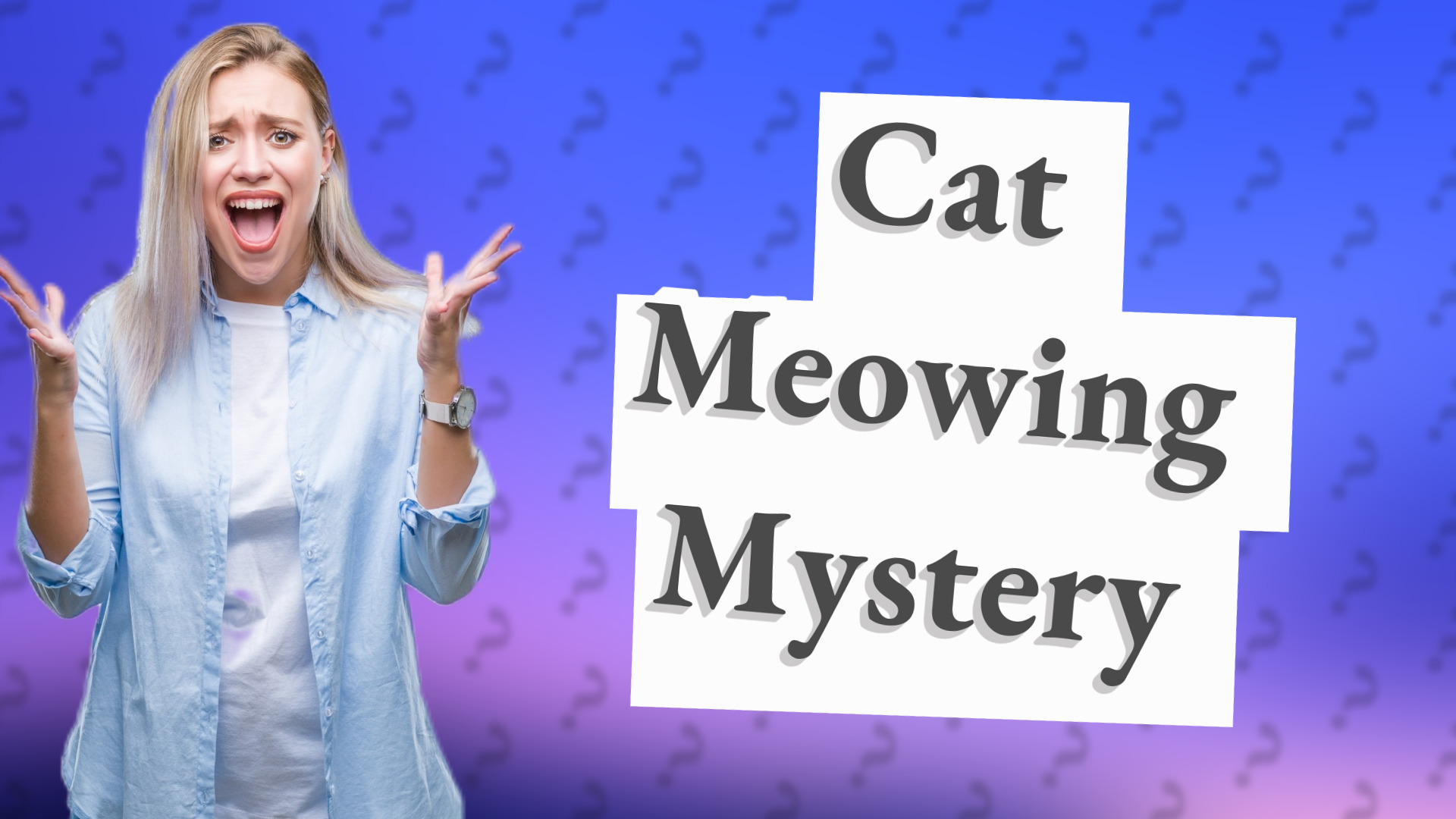 Cat Meowing Mystery
