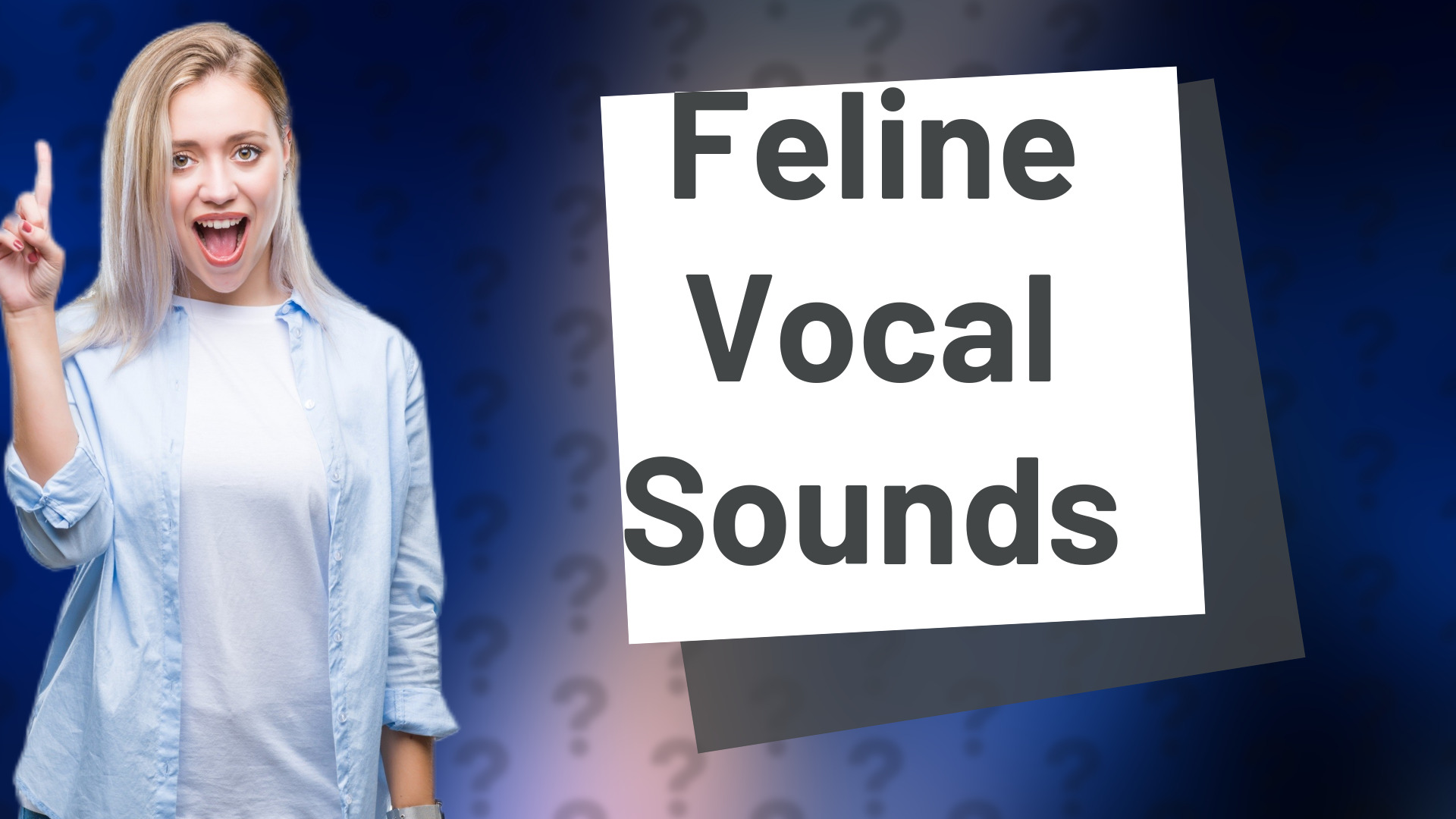 Feline Vocal Sounds