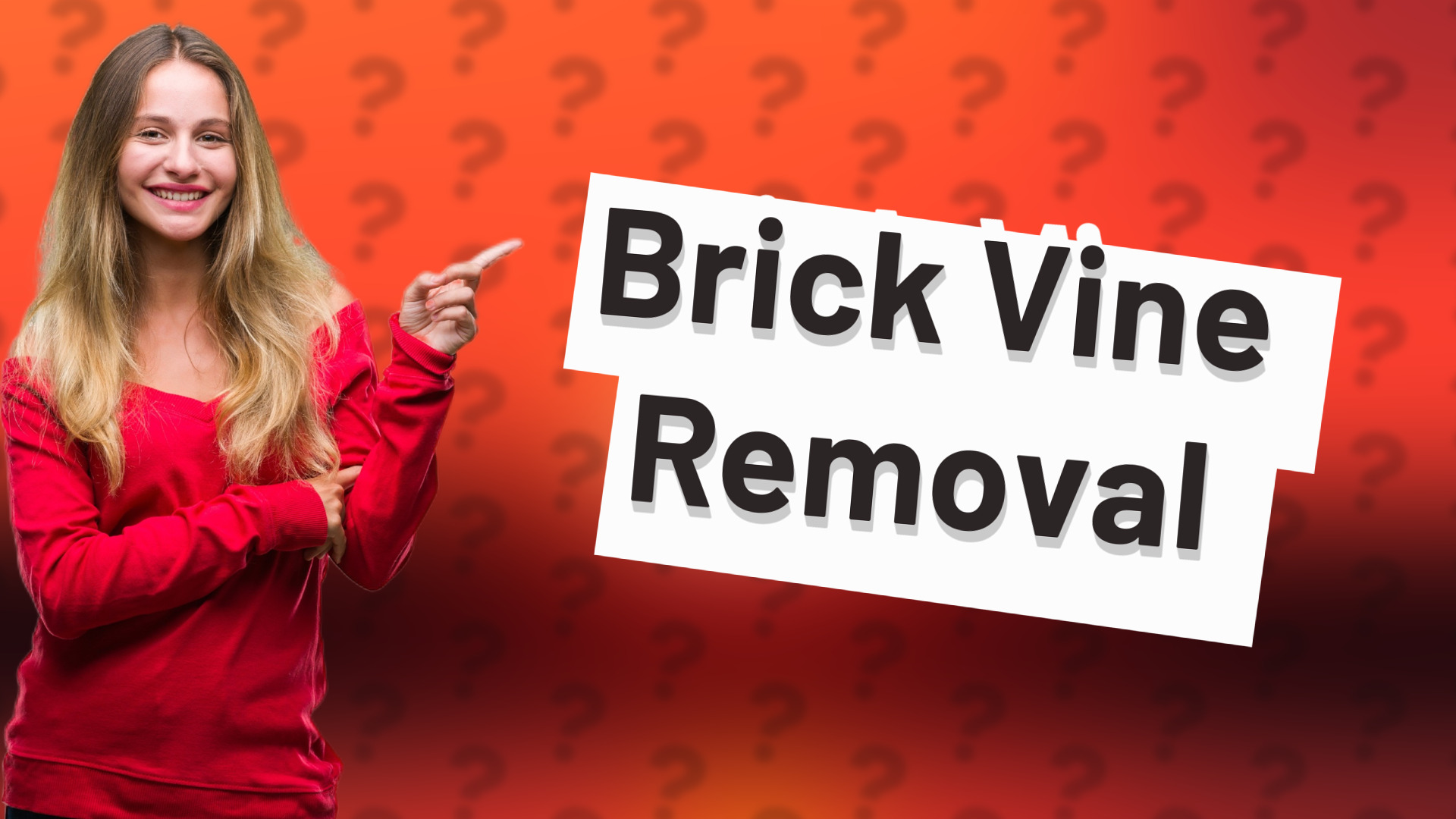Brick Vine Removal