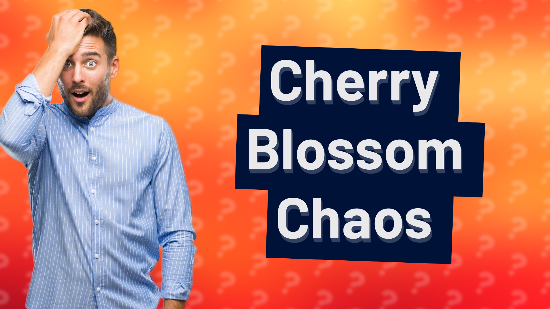 Cherry Blossom Chaos