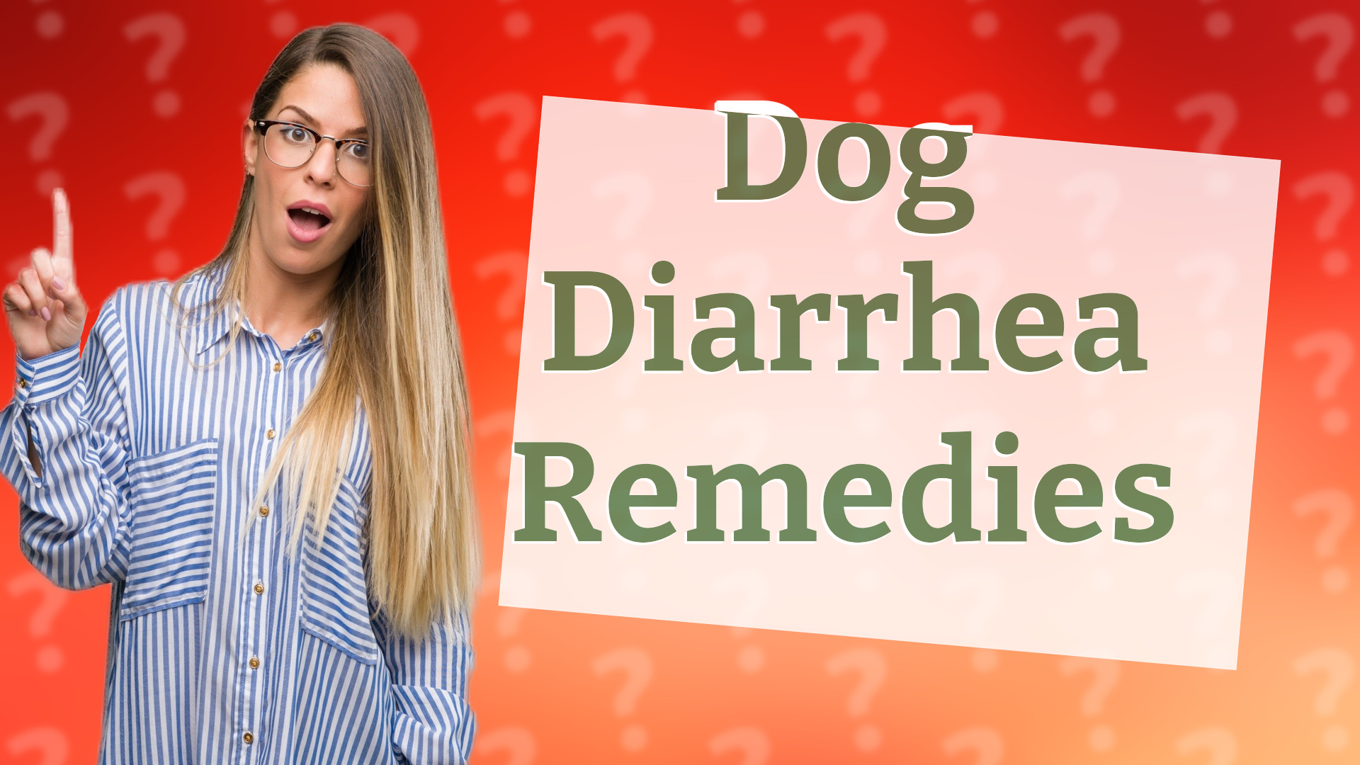 Dog Diarrhea Remedies