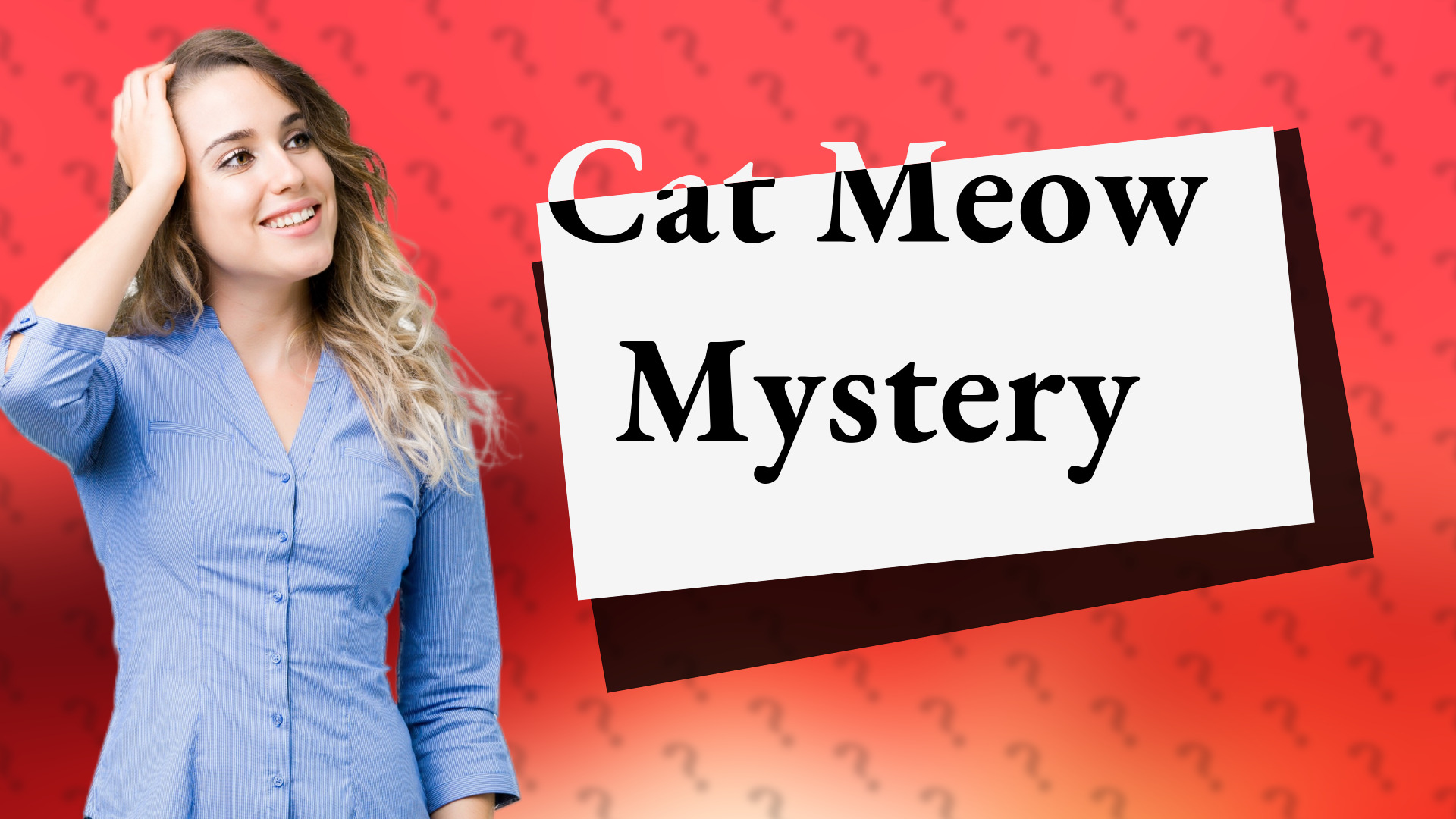 Cat Meow Mystery