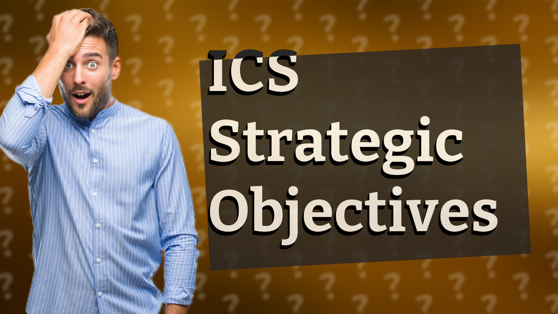 ICS Strategic Objectives