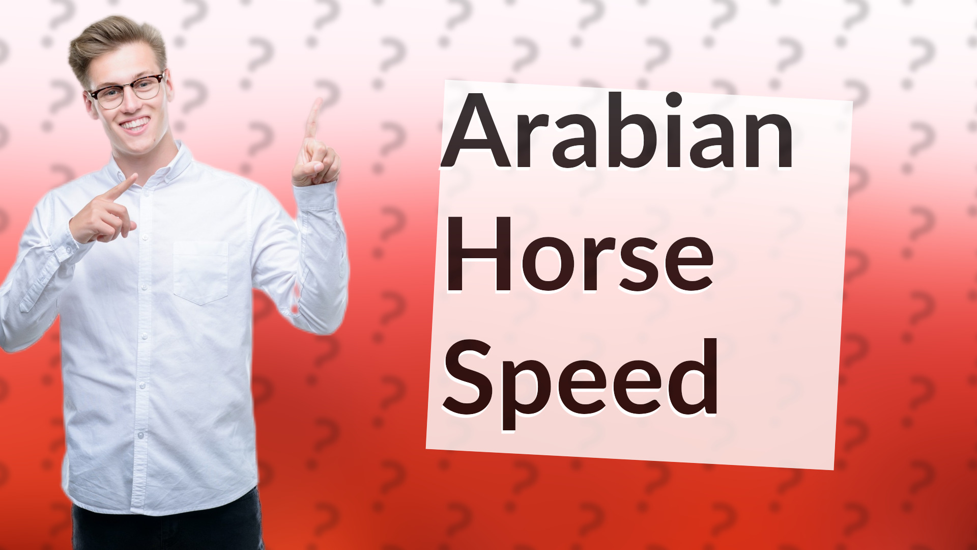 Arabian Horse Speed