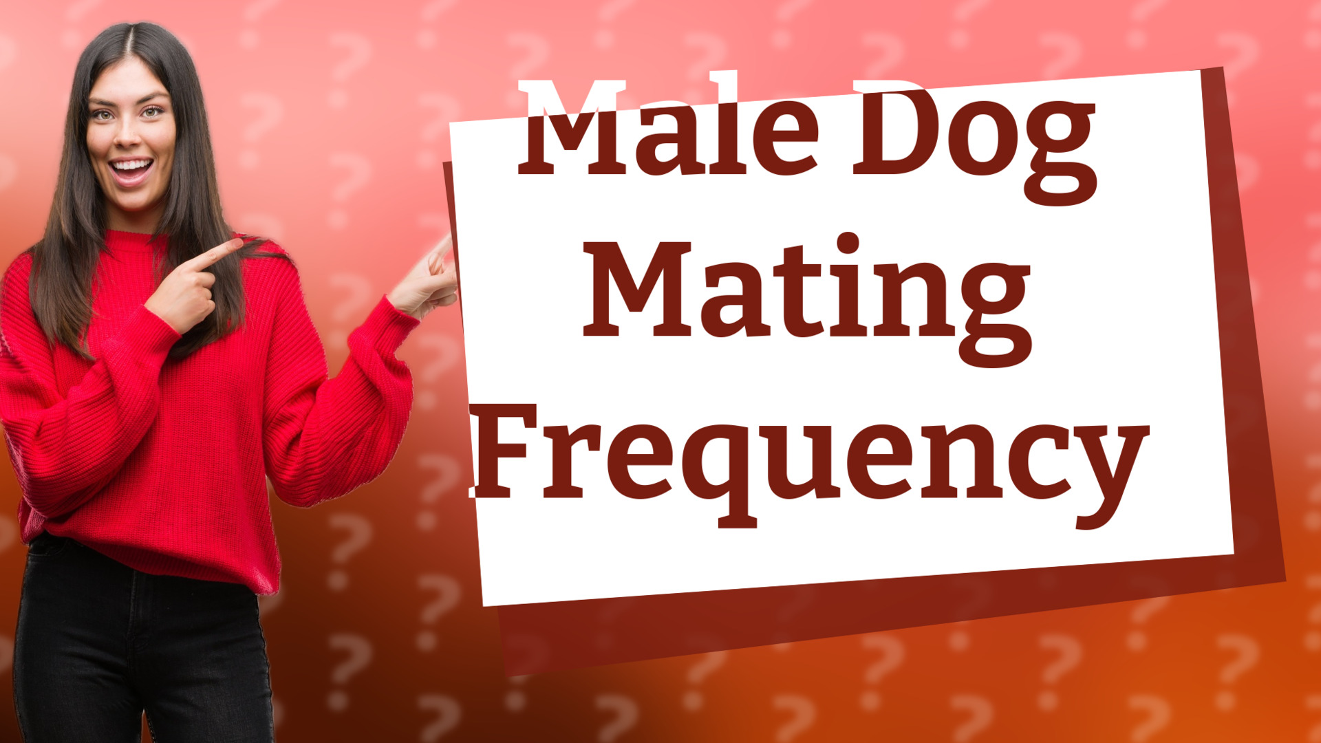 Male Dog Mating Frequency
