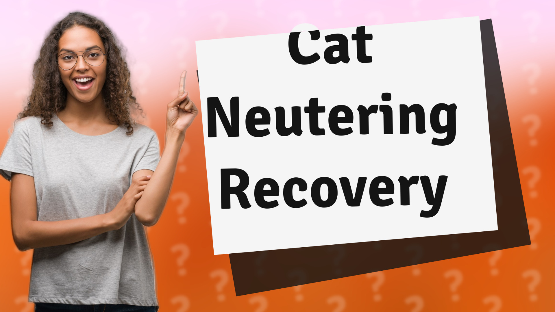 Cat Neutering Recovery