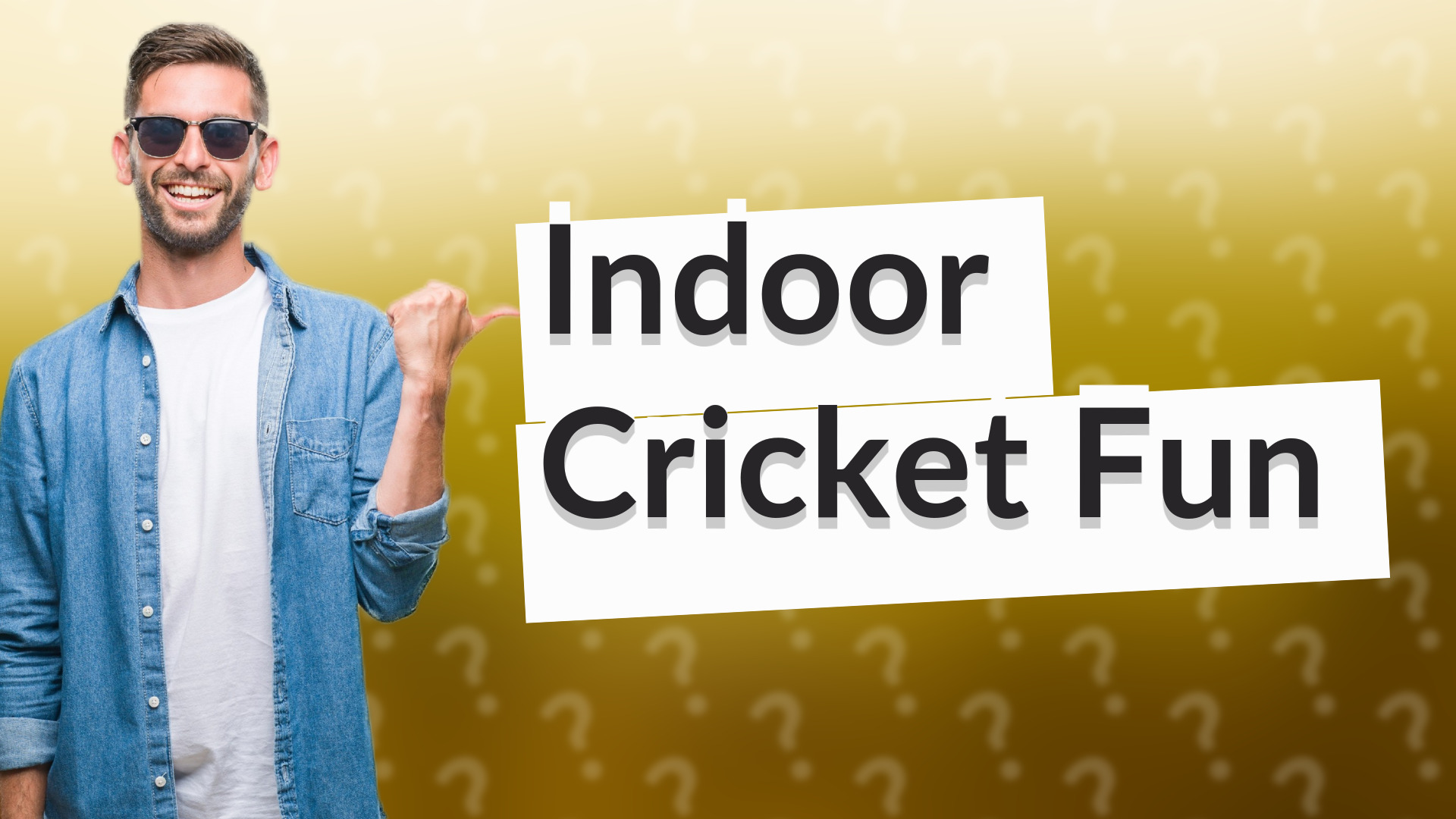 Indoor Cricket Fun