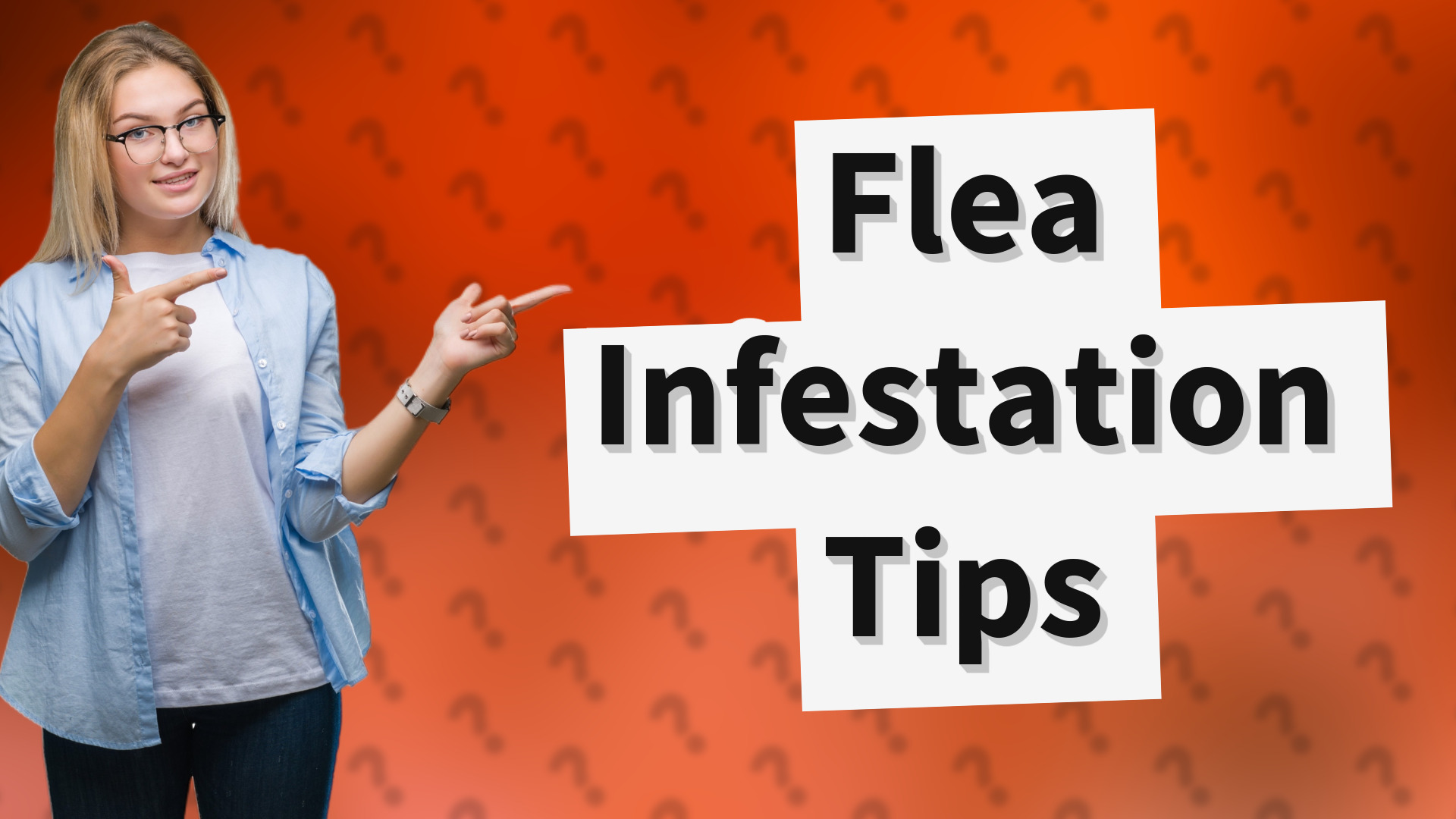Flea Infestation Tips