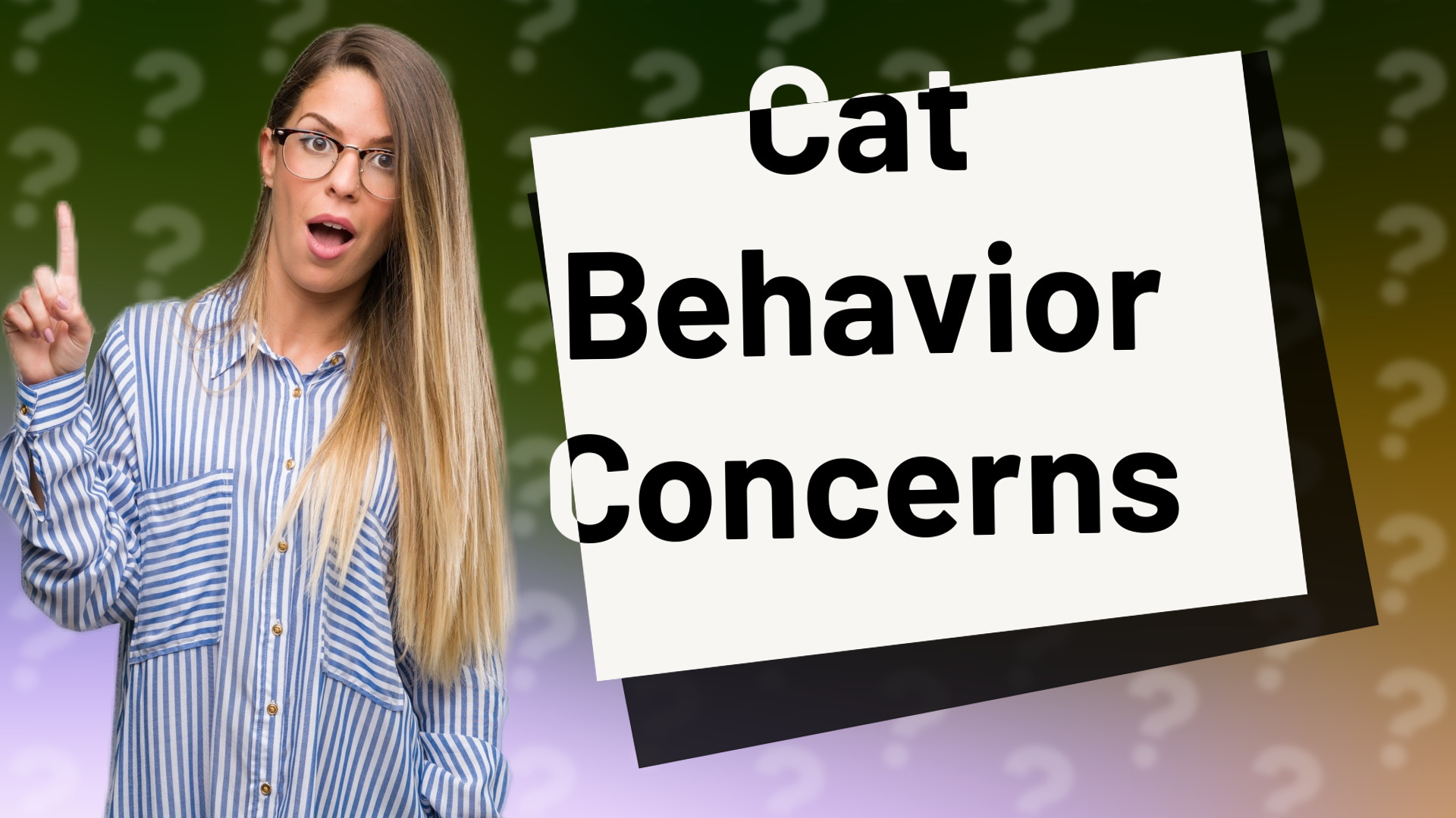 Cat Behavior Concerns