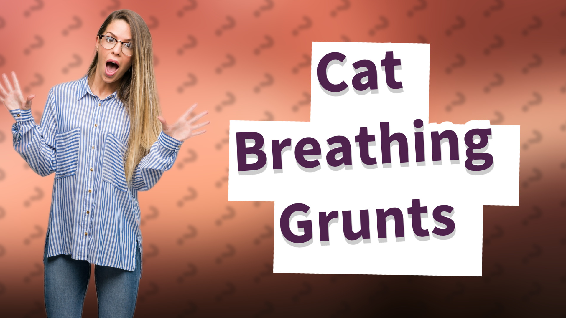 Cat Breathing Grunts